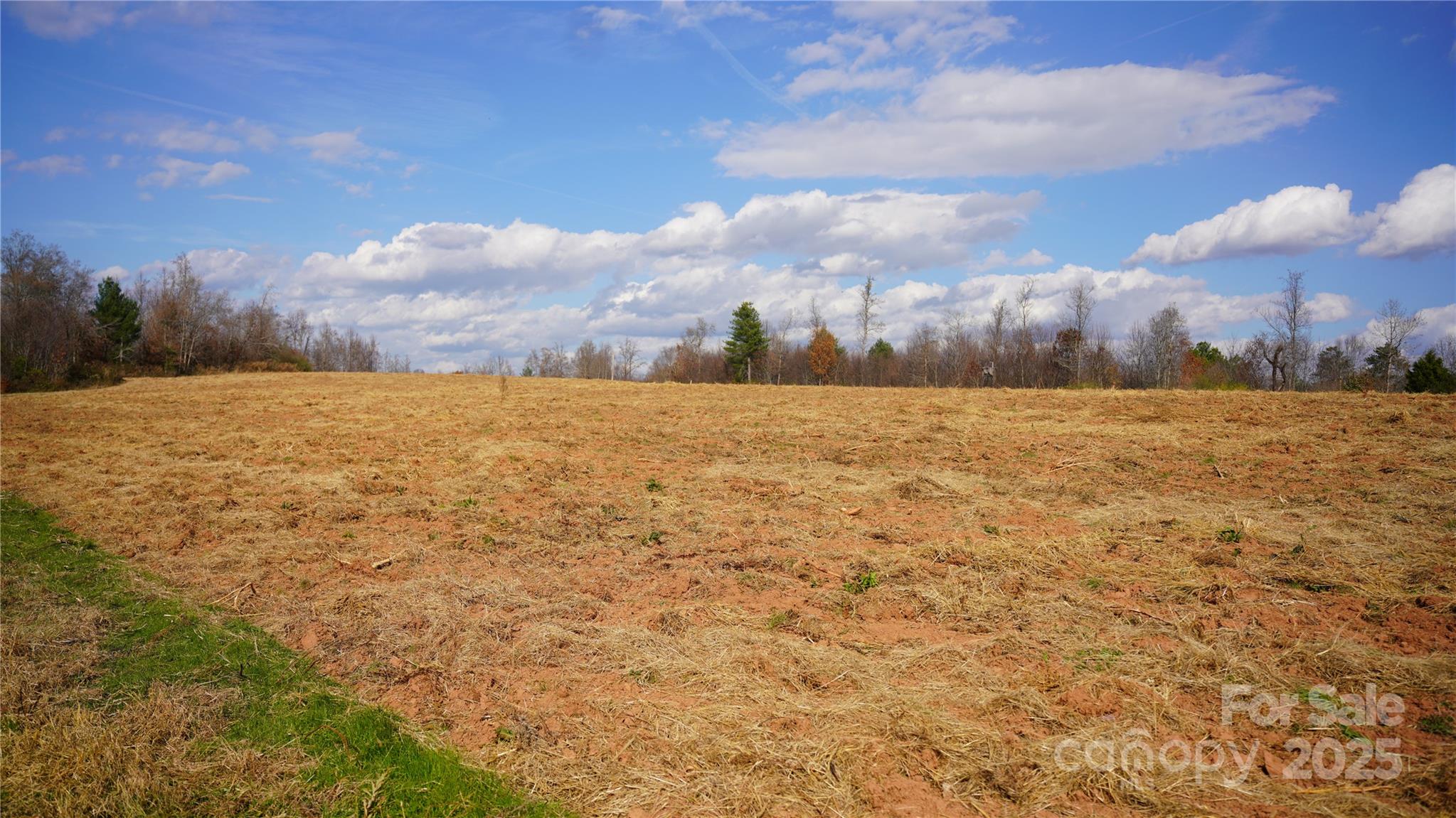 000 Old Shelby Road Property Photo 15