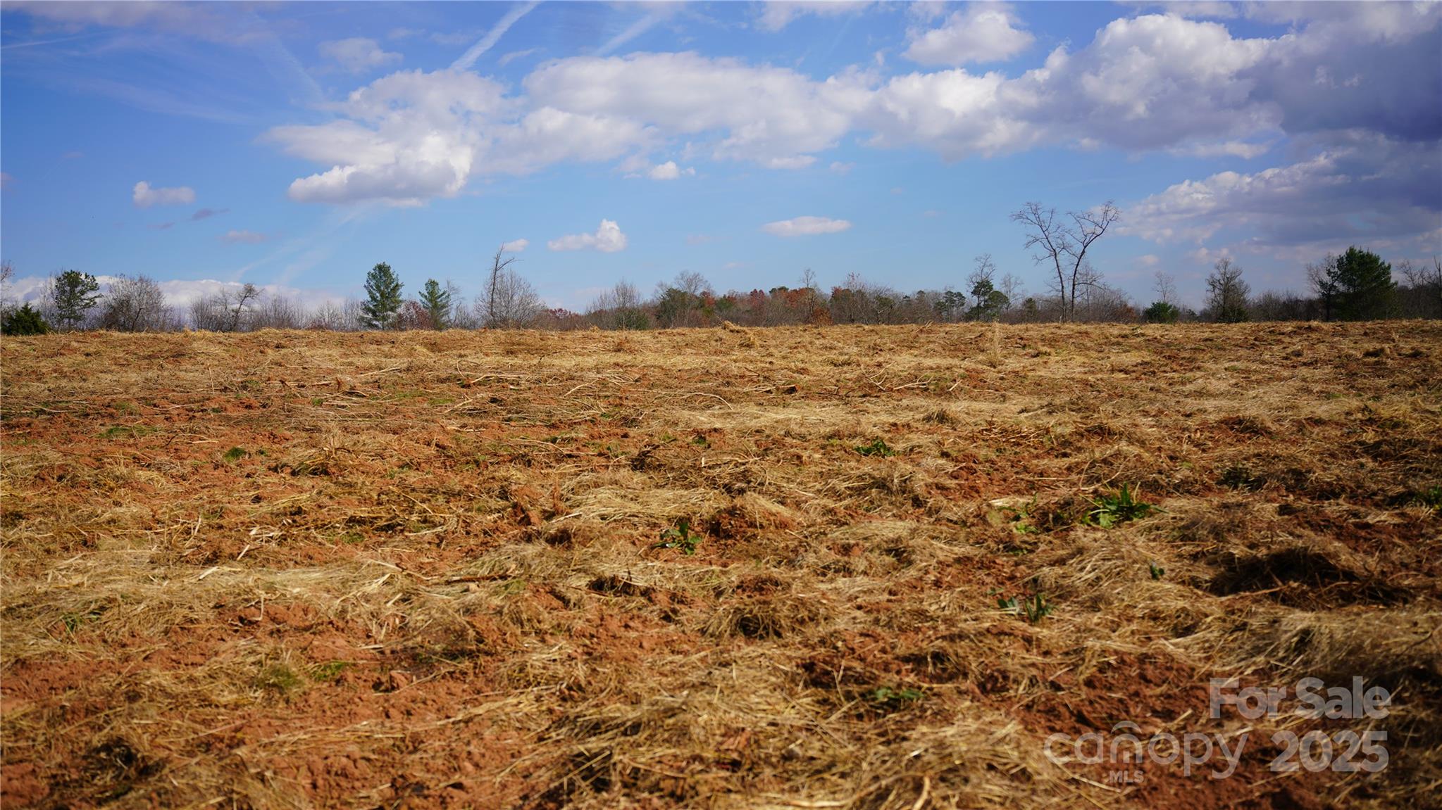 000 Old Shelby Road Property Photo 16