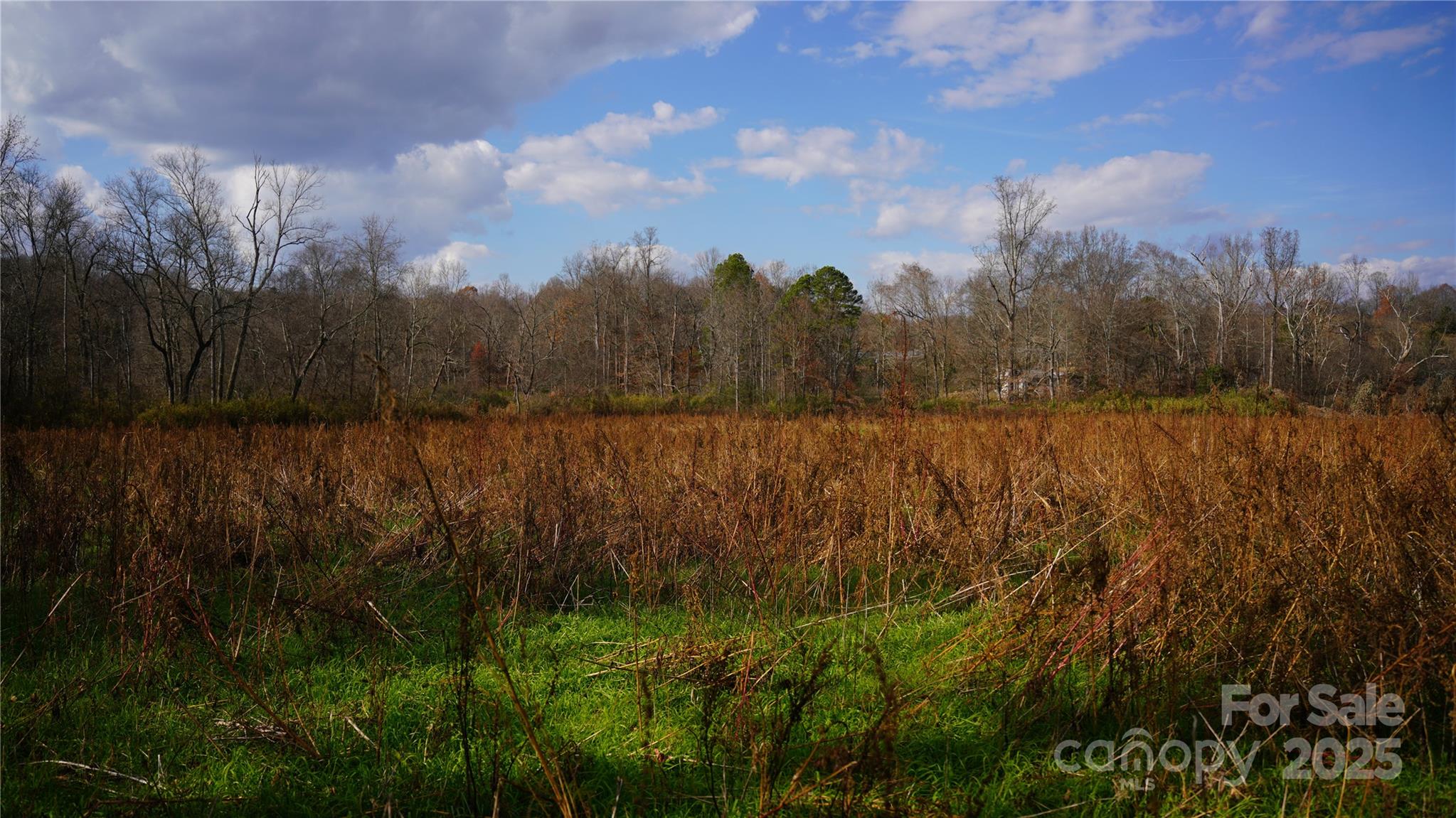 000 Old Shelby Road Property Photo 18