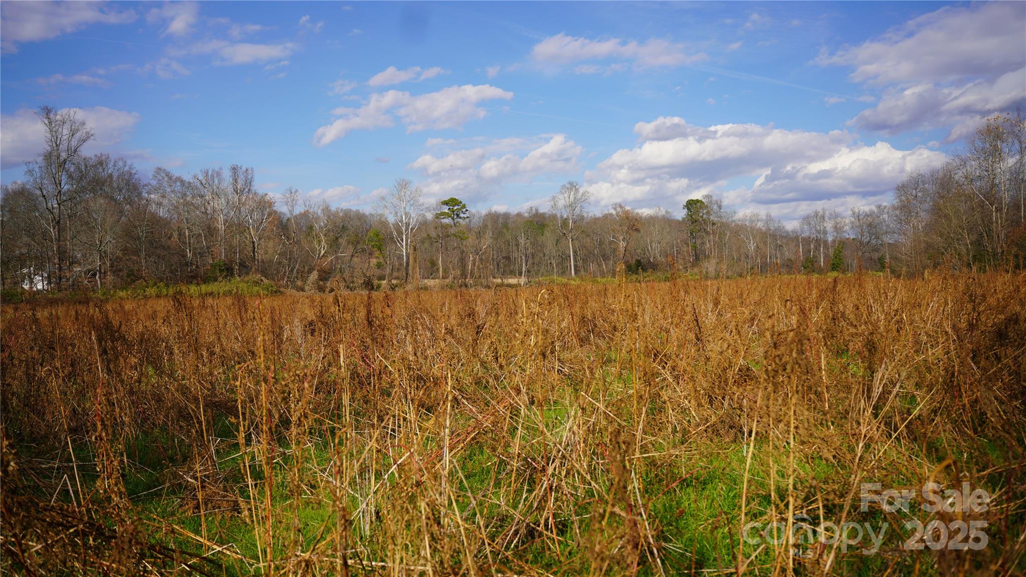000 Old Shelby Road Property Photo 19