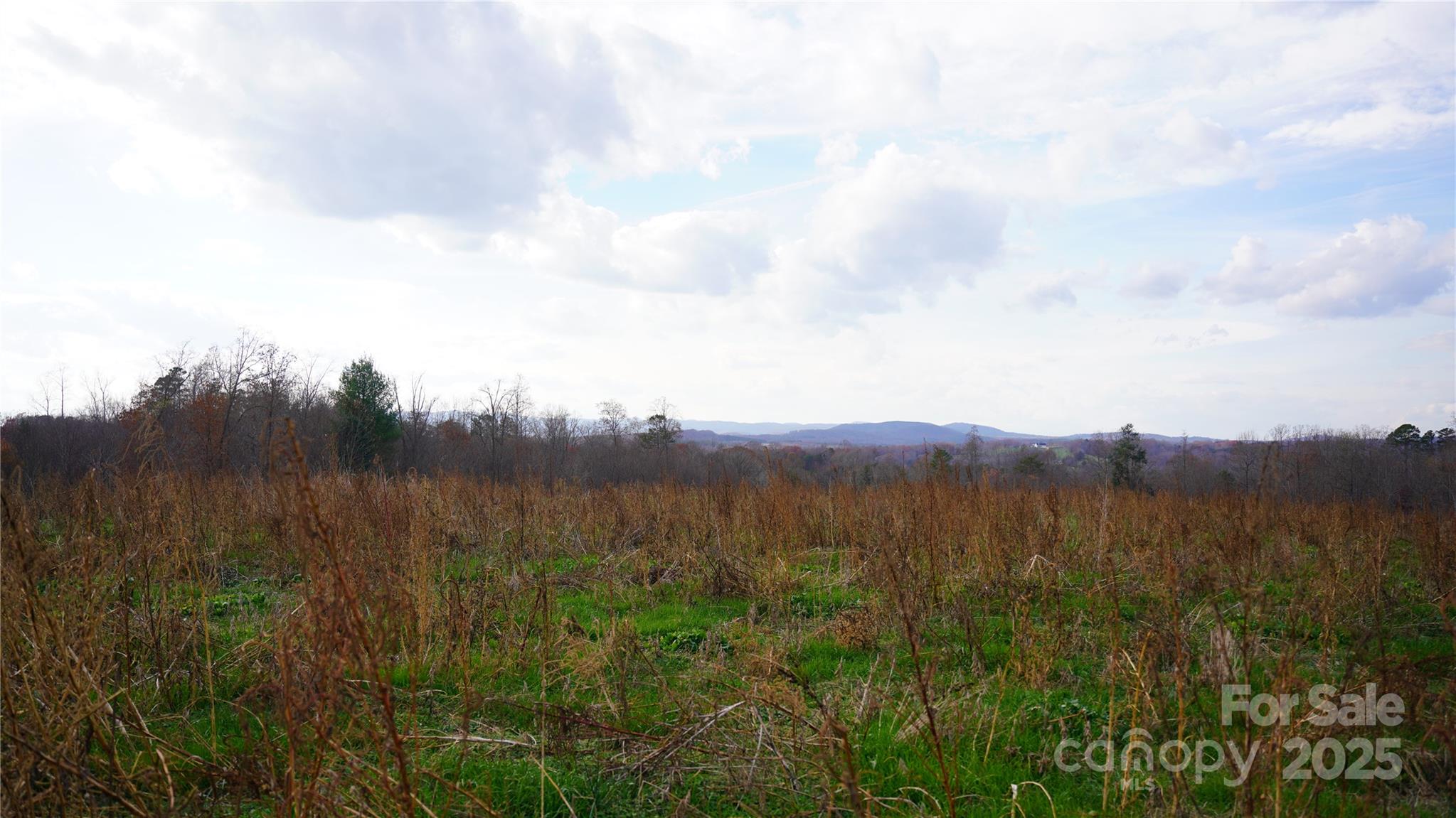 000 Old Shelby Road Property Photo 23