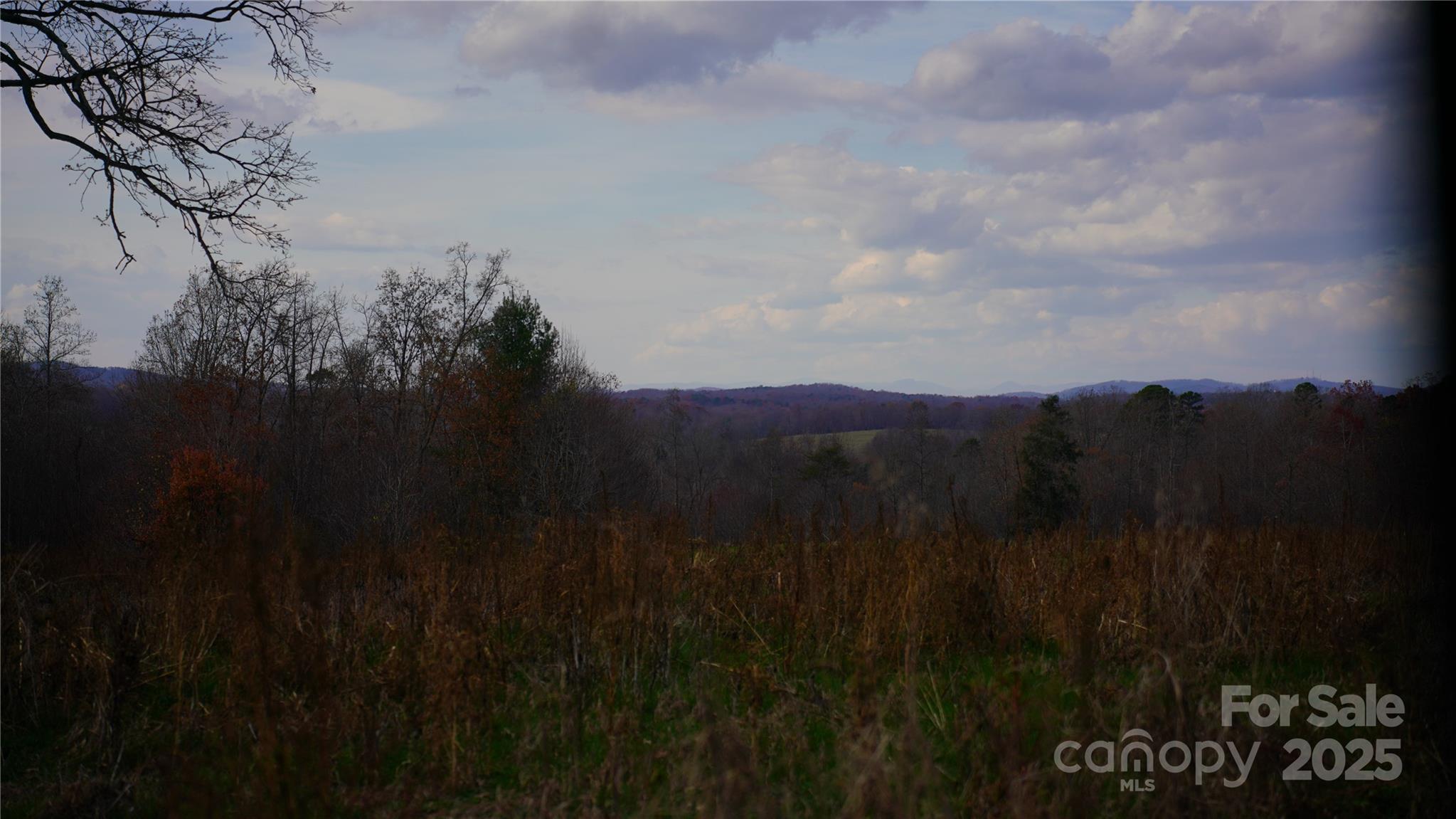 000 Old Shelby Road Property Photo 24