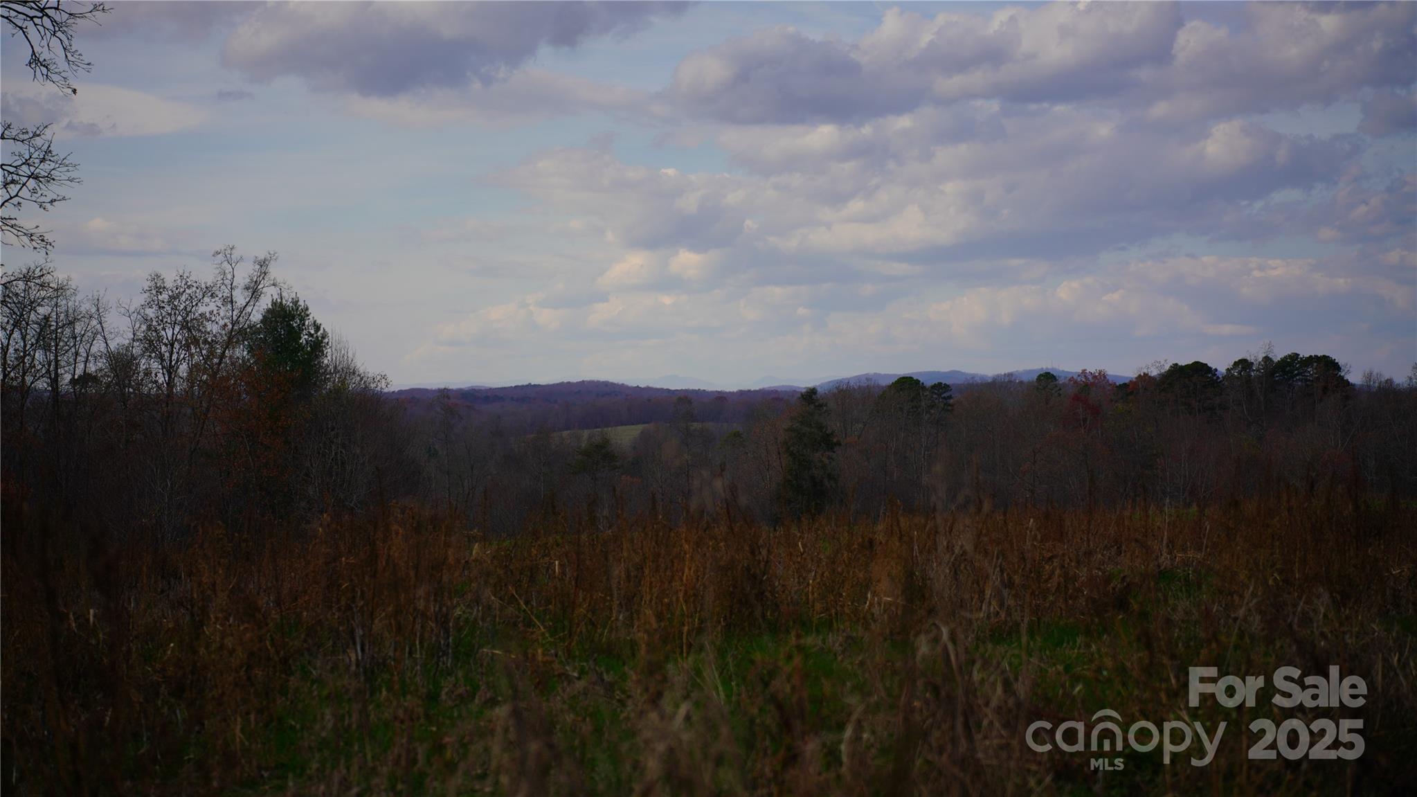 000 Old Shelby Road Property Photo 25