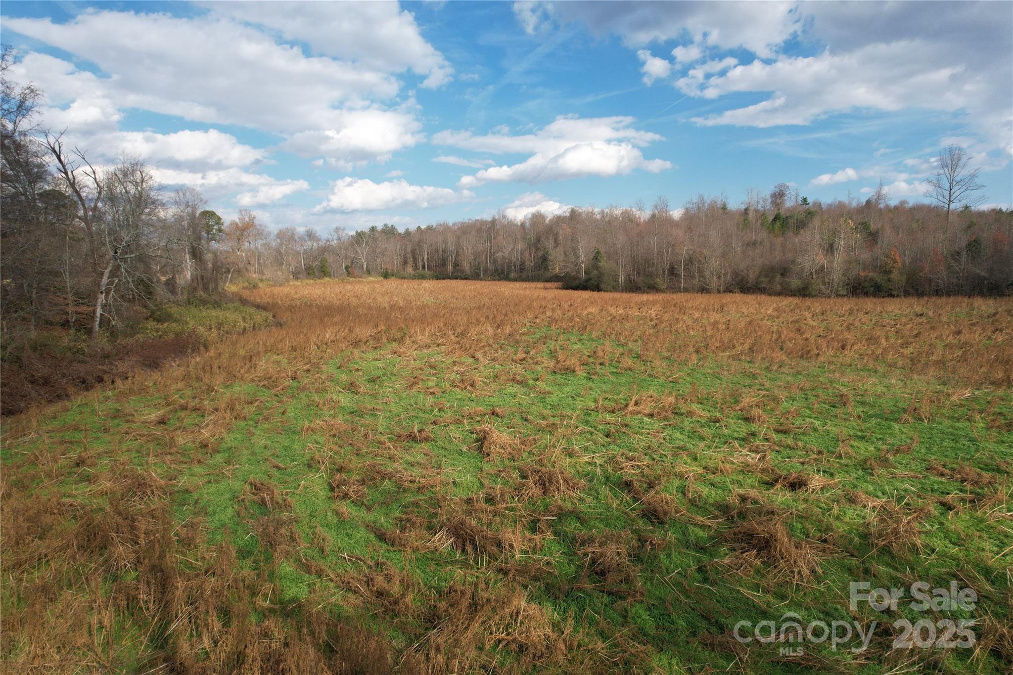 000 Old Shelby Road Property Photo 36