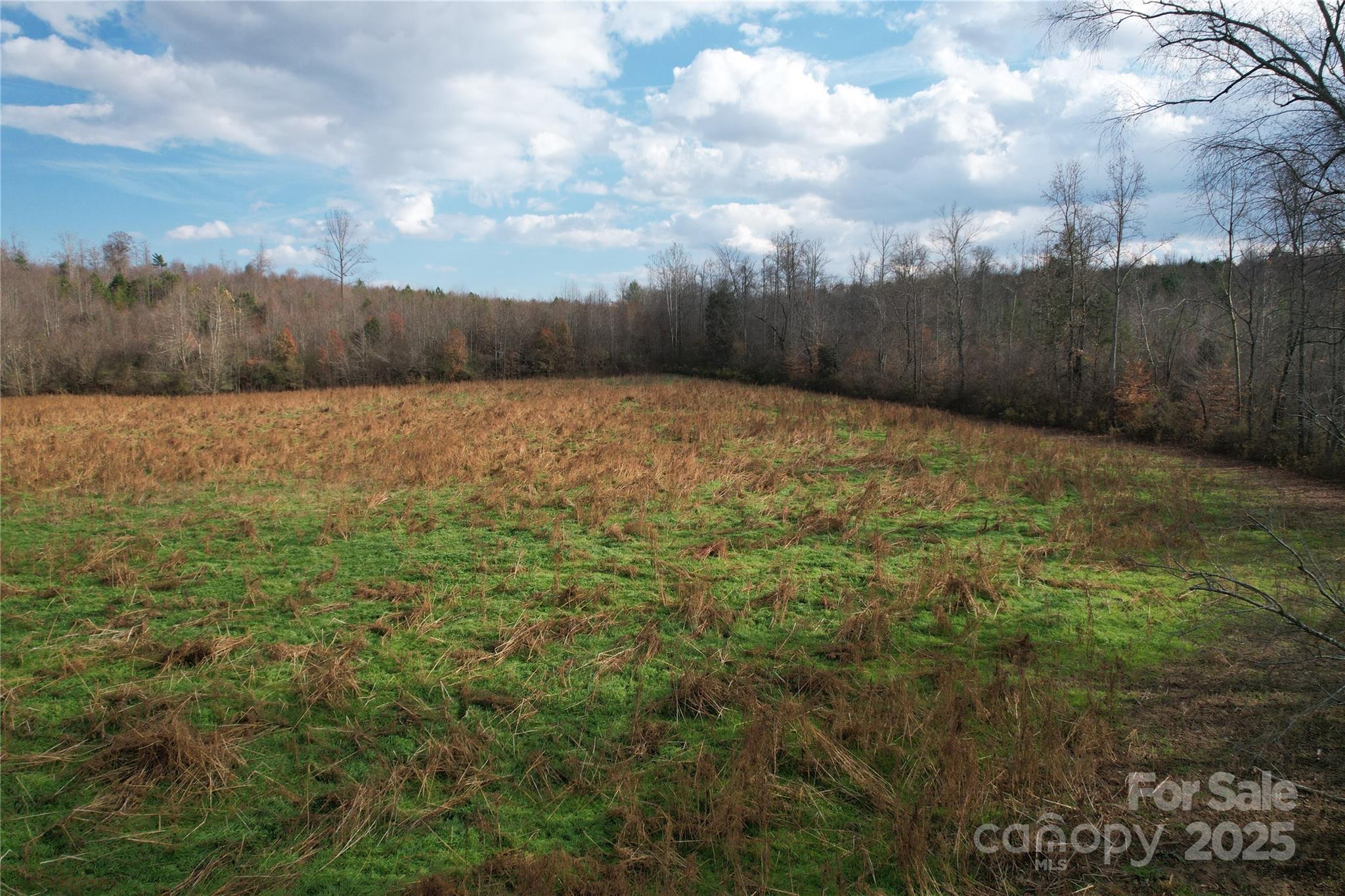 000 Old Shelby Road Property Photo 37