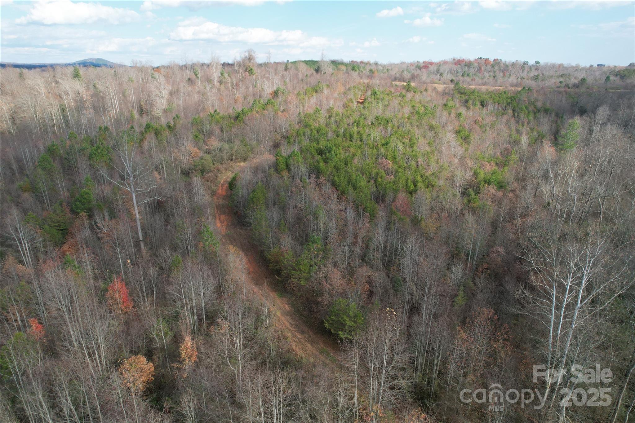000 Old Shelby Road Property Photo 38