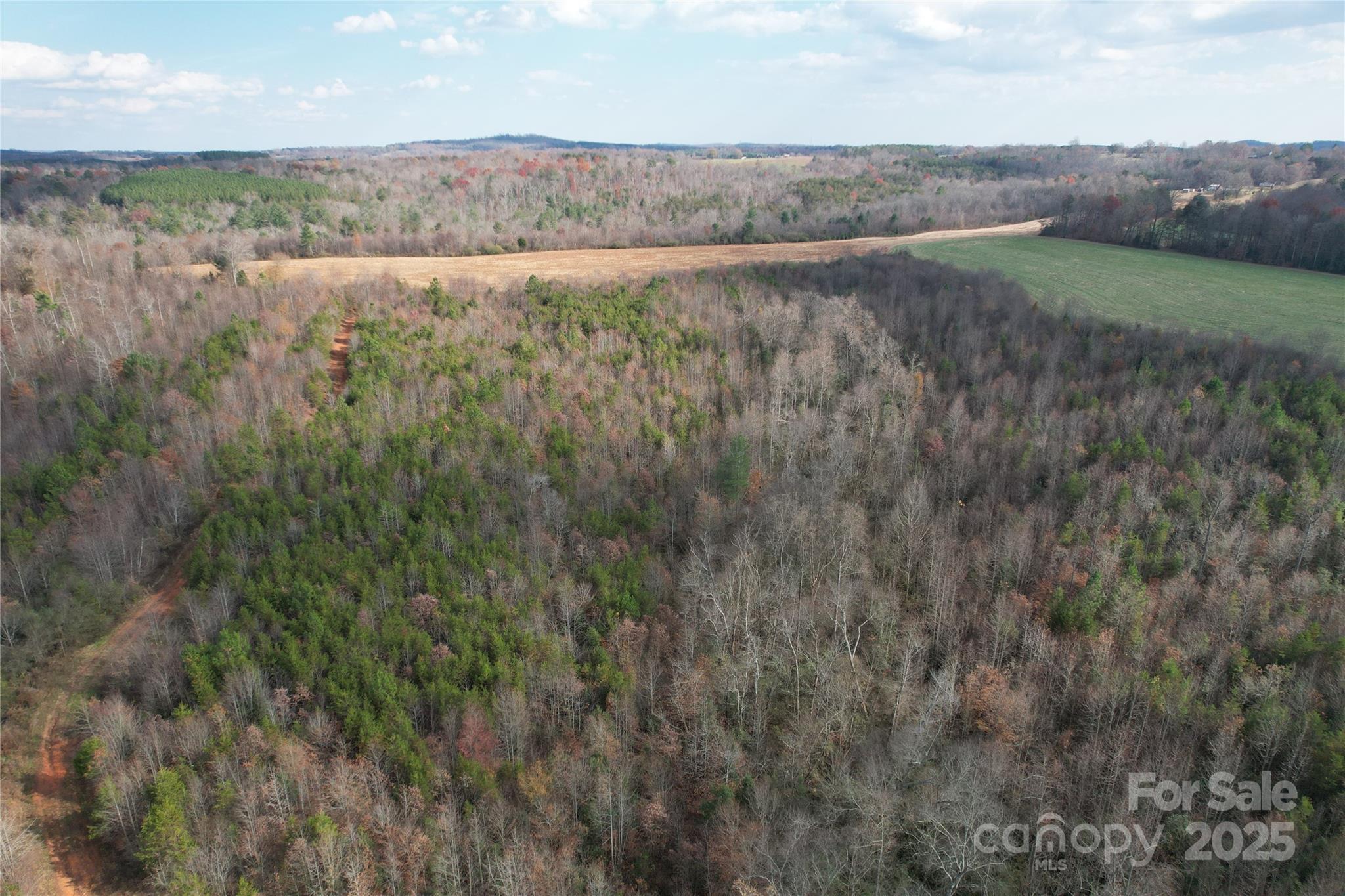 000 Old Shelby Road Property Photo 39