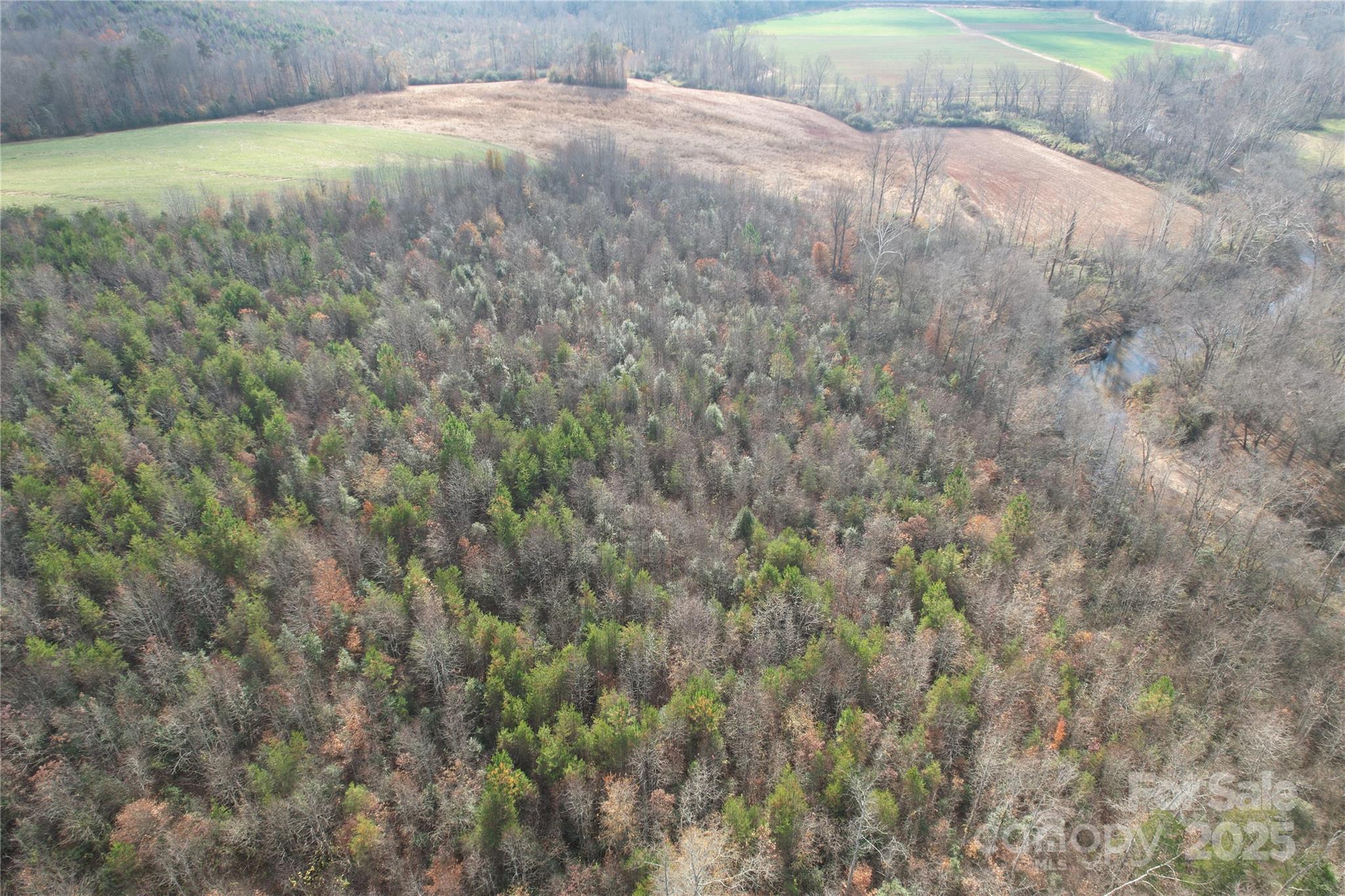 000 Old Shelby Road Property Photo 40