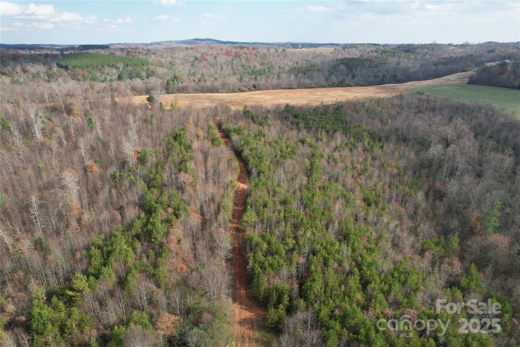 000 Old Shelby Road Property Photo 41