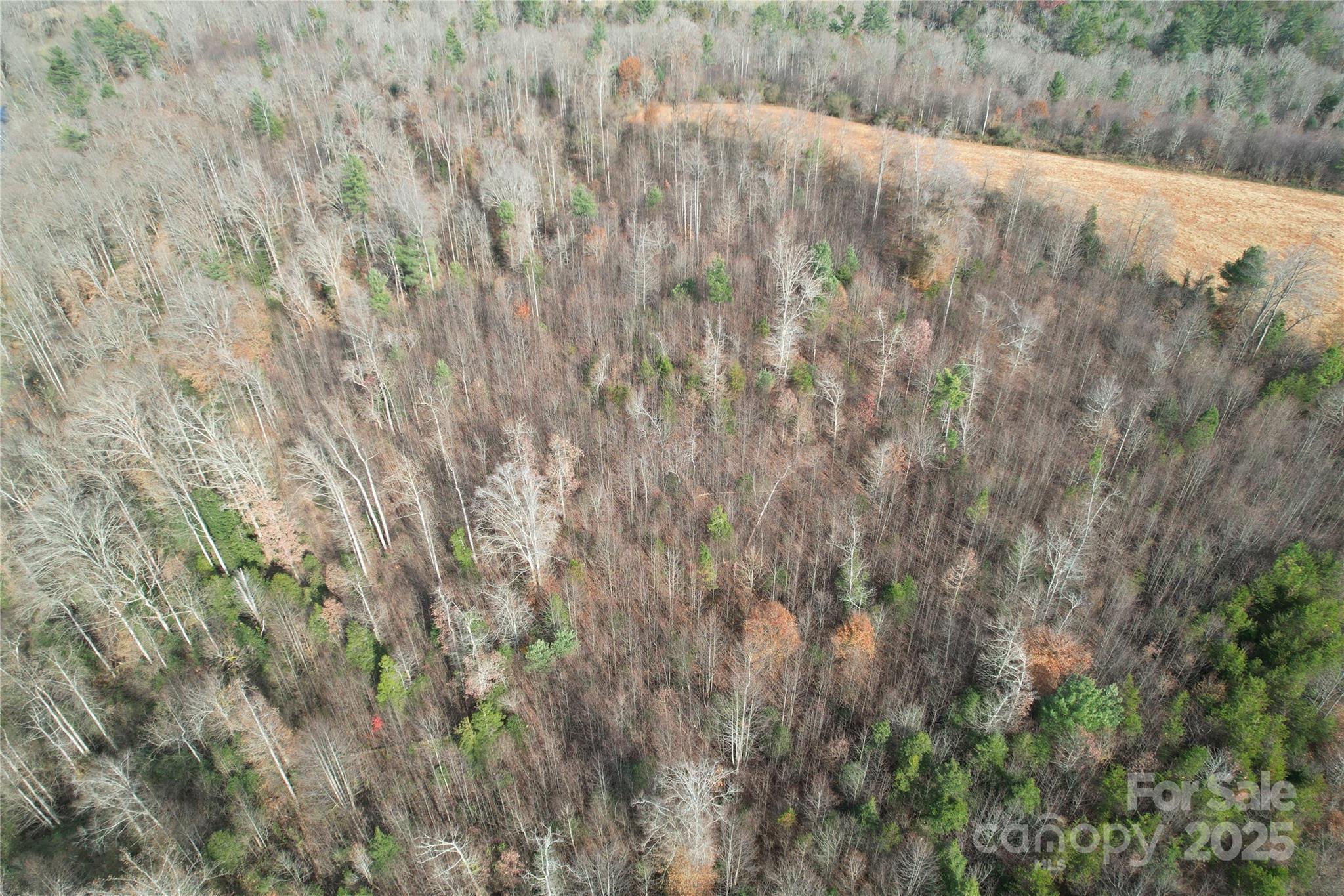 000 Old Shelby Road Property Photo 43