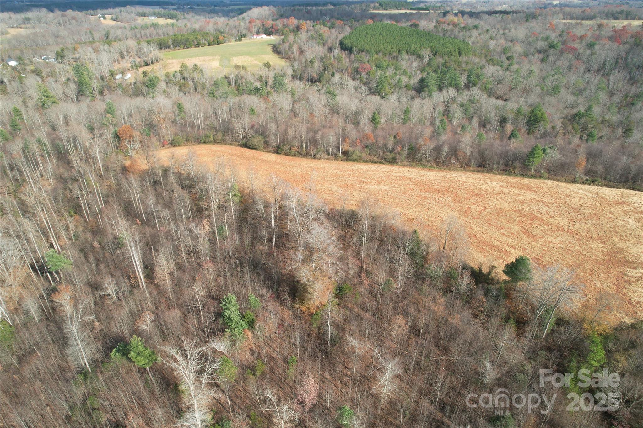 000 Old Shelby Road Property Photo 44