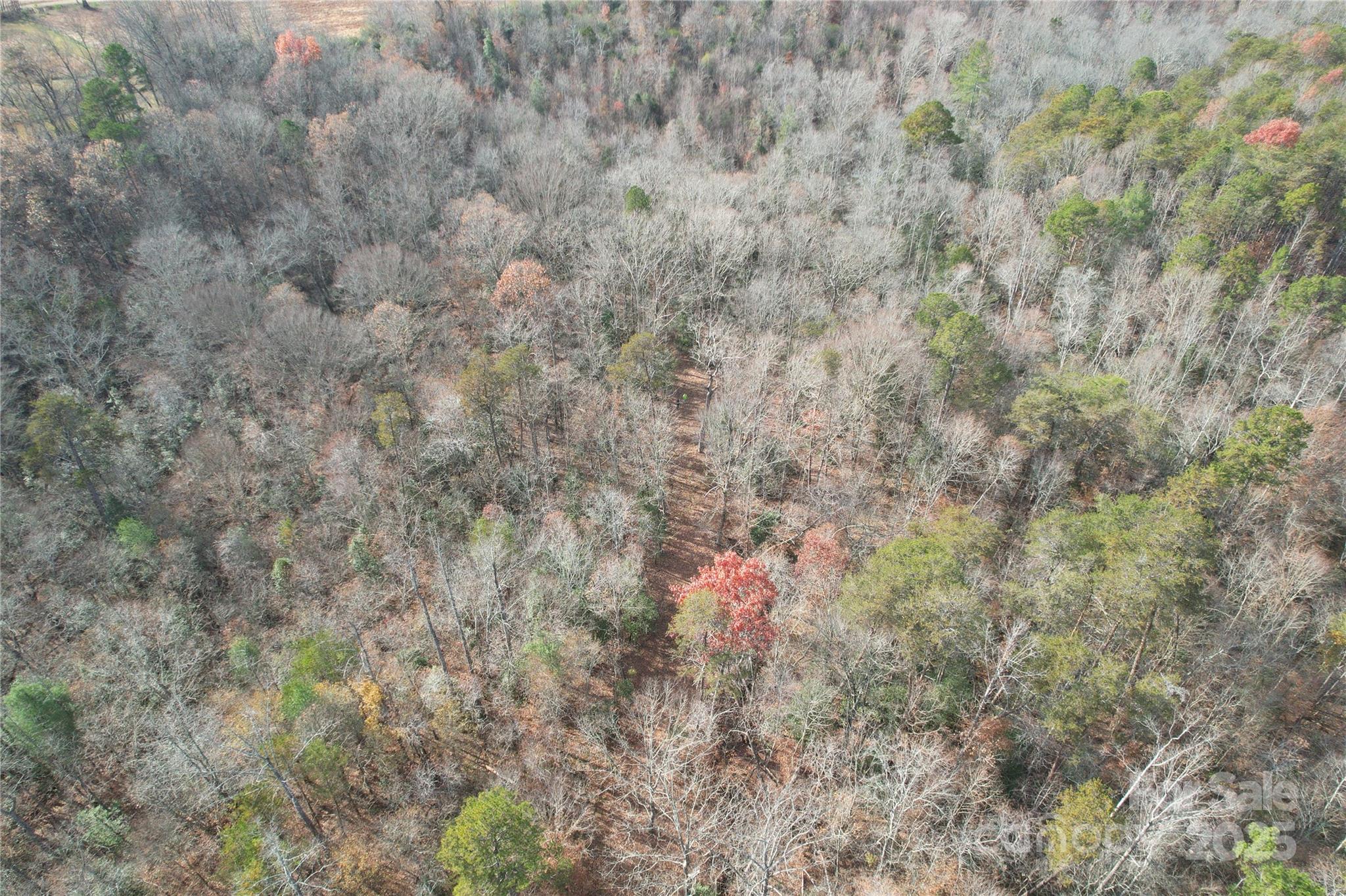 000 Old Shelby Road Property Photo 46