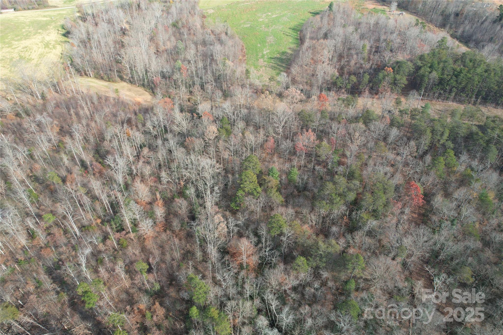 000 Old Shelby Road Property Photo 47