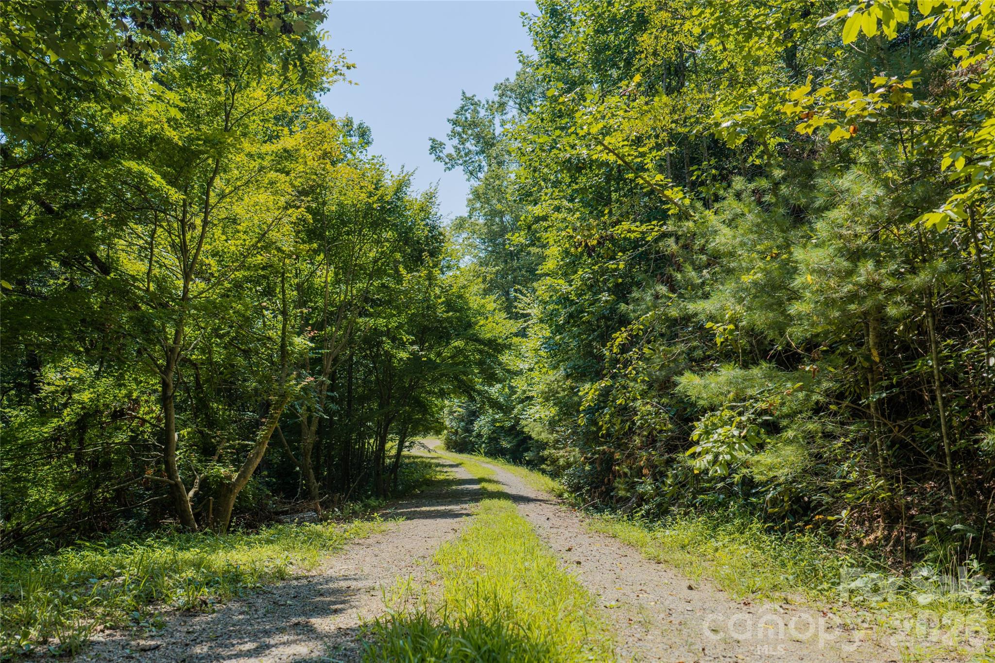 649 Old Nc 280 Highway Property Photo 3