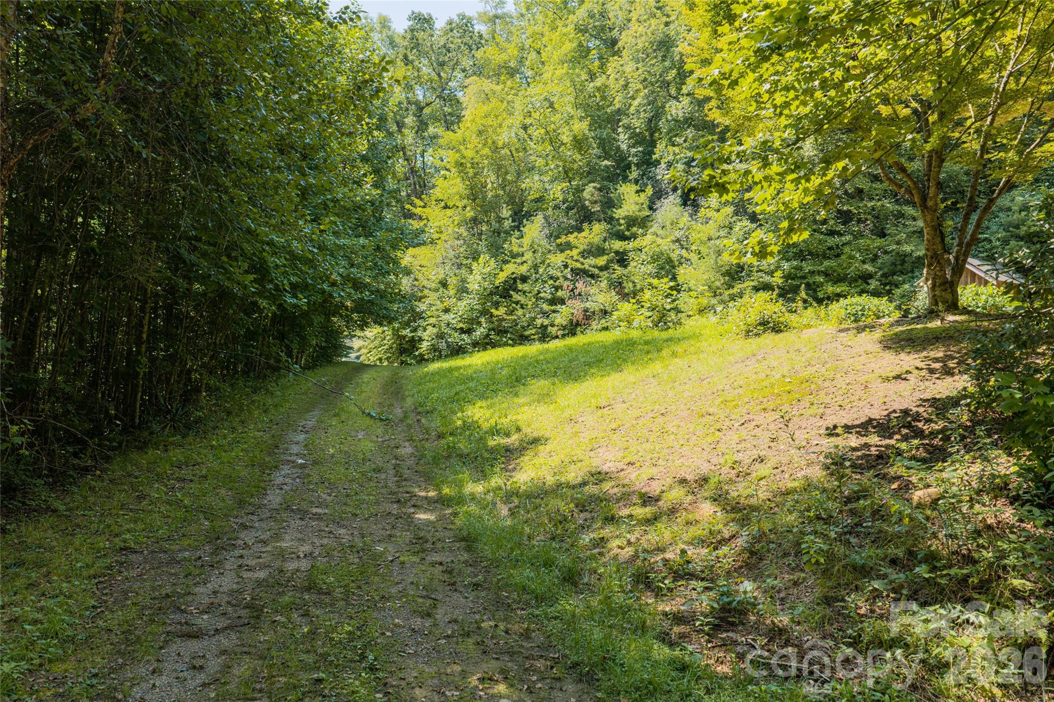 649 Old Nc 280 Highway Property Photo 5