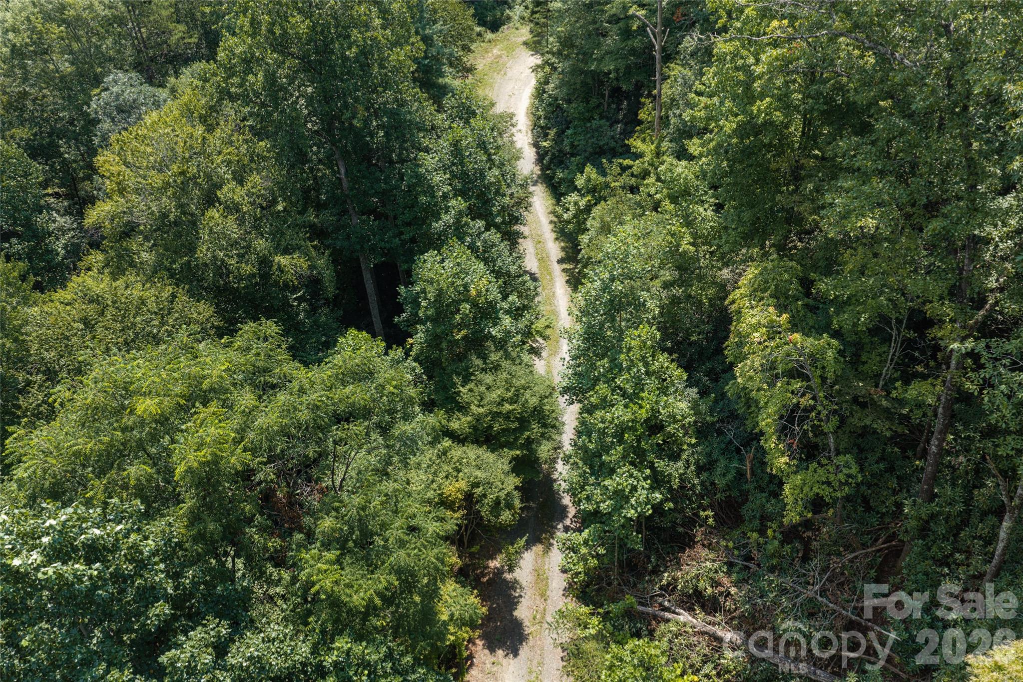 649 Old Nc 280 Highway Property Photo 19