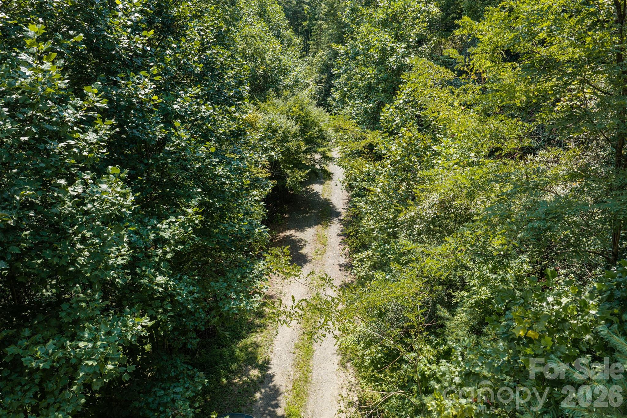 649 Old Nc 280 Highway Property Photo 20