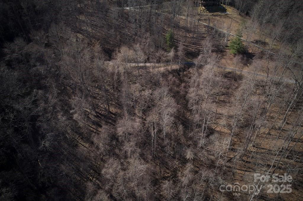 Lot 6a Freeman Overlook Property Photo 4
