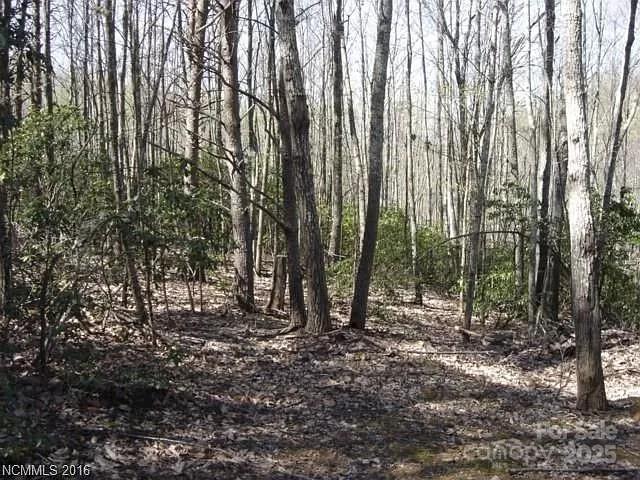 91 Old Forge Drive Property Photo 2