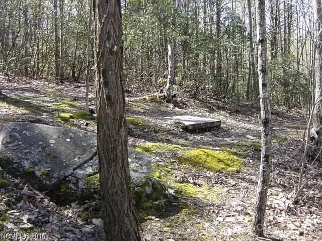 91 Old Forge Drive Property Photo 3