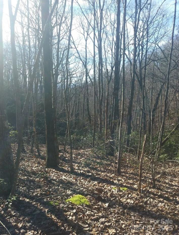 91 Old Forge Drive Property Photo 10