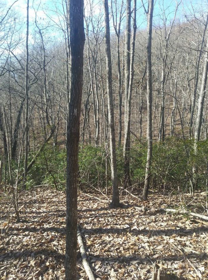 91 Old Forge Drive Property Photo 11