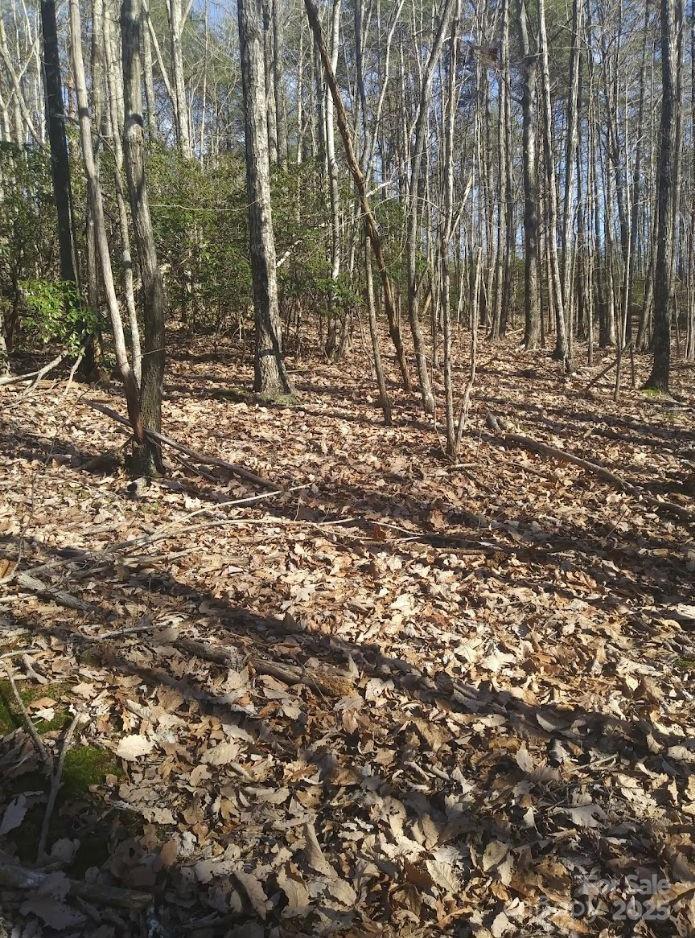 91 Old Forge Drive Property Photo 12