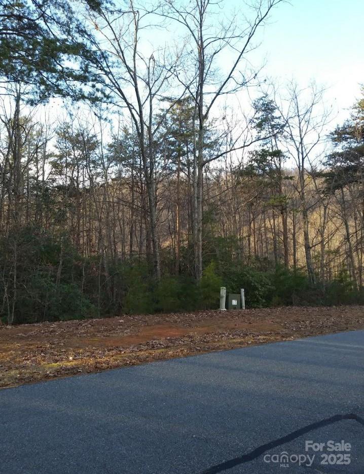 91 Old Forge Drive Property Photo 14