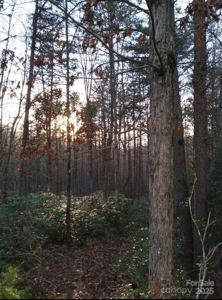91 Old Forge Drive Property Photo 15