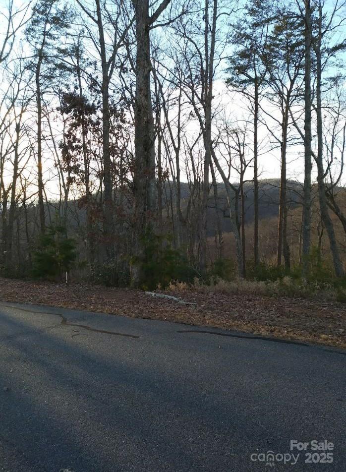 91 Old Forge Drive Property Photo 16