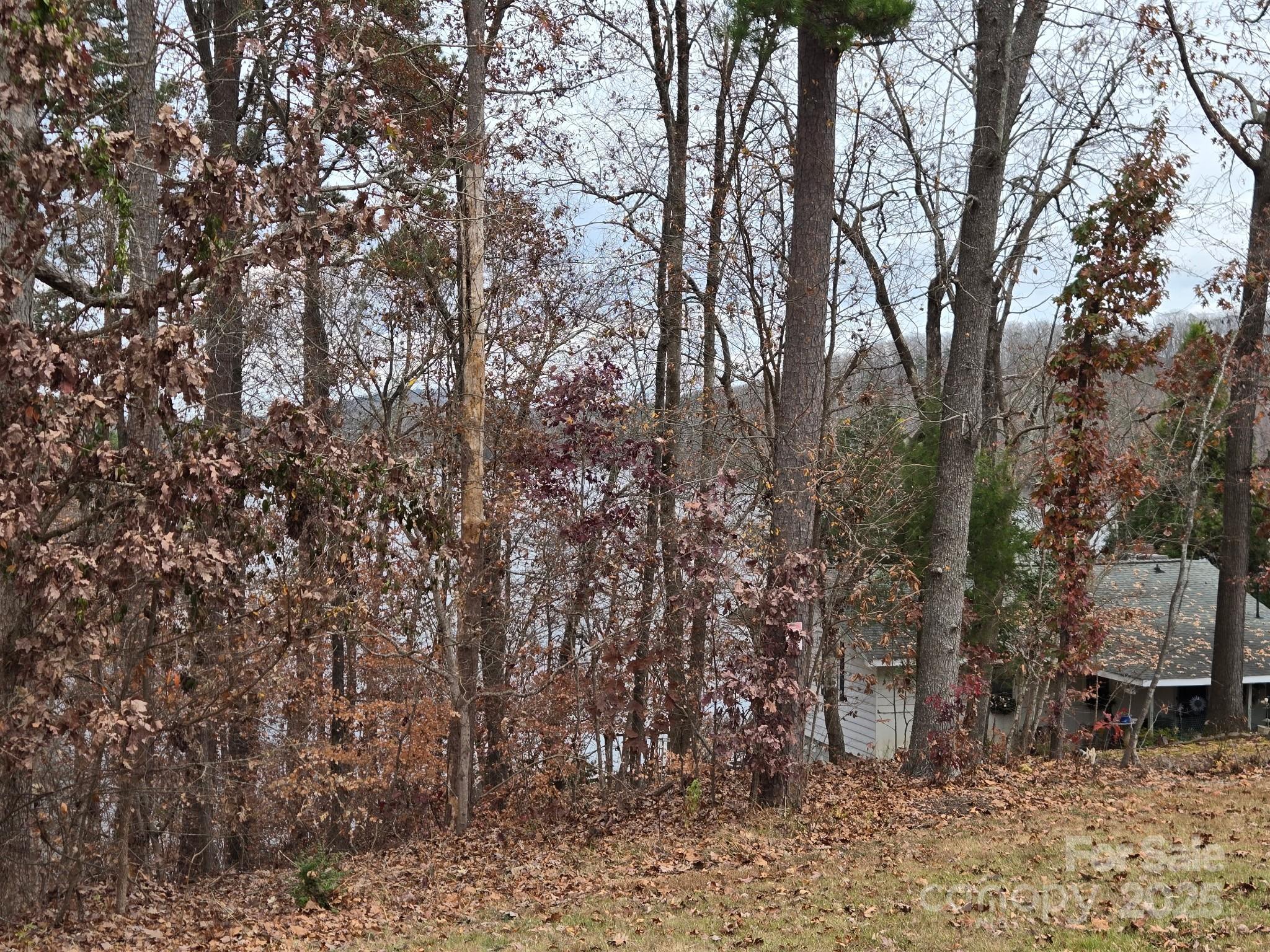 0 Shoreline Road 107 Property Photo 13