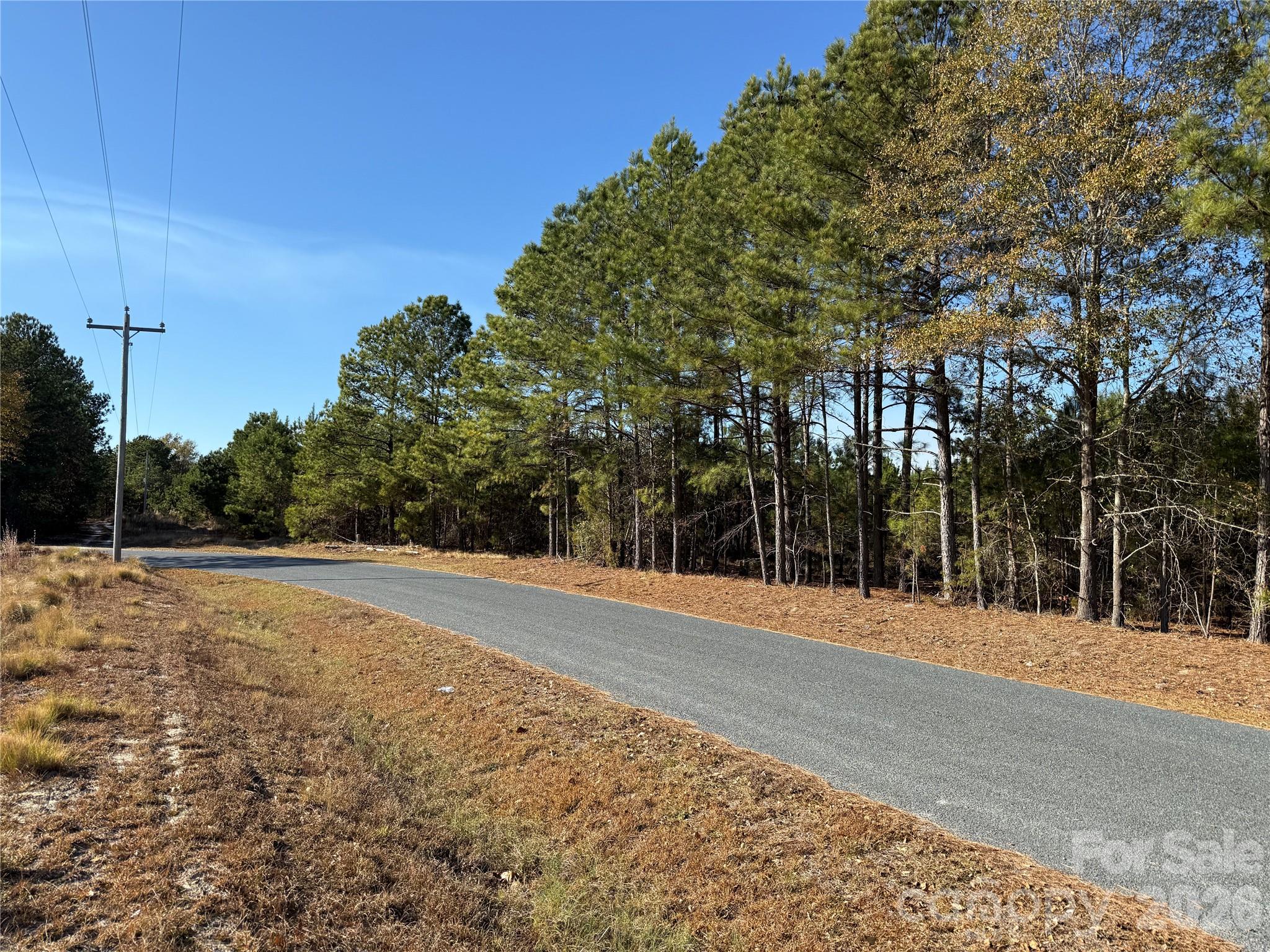 164 Haines Road Property Photo 1