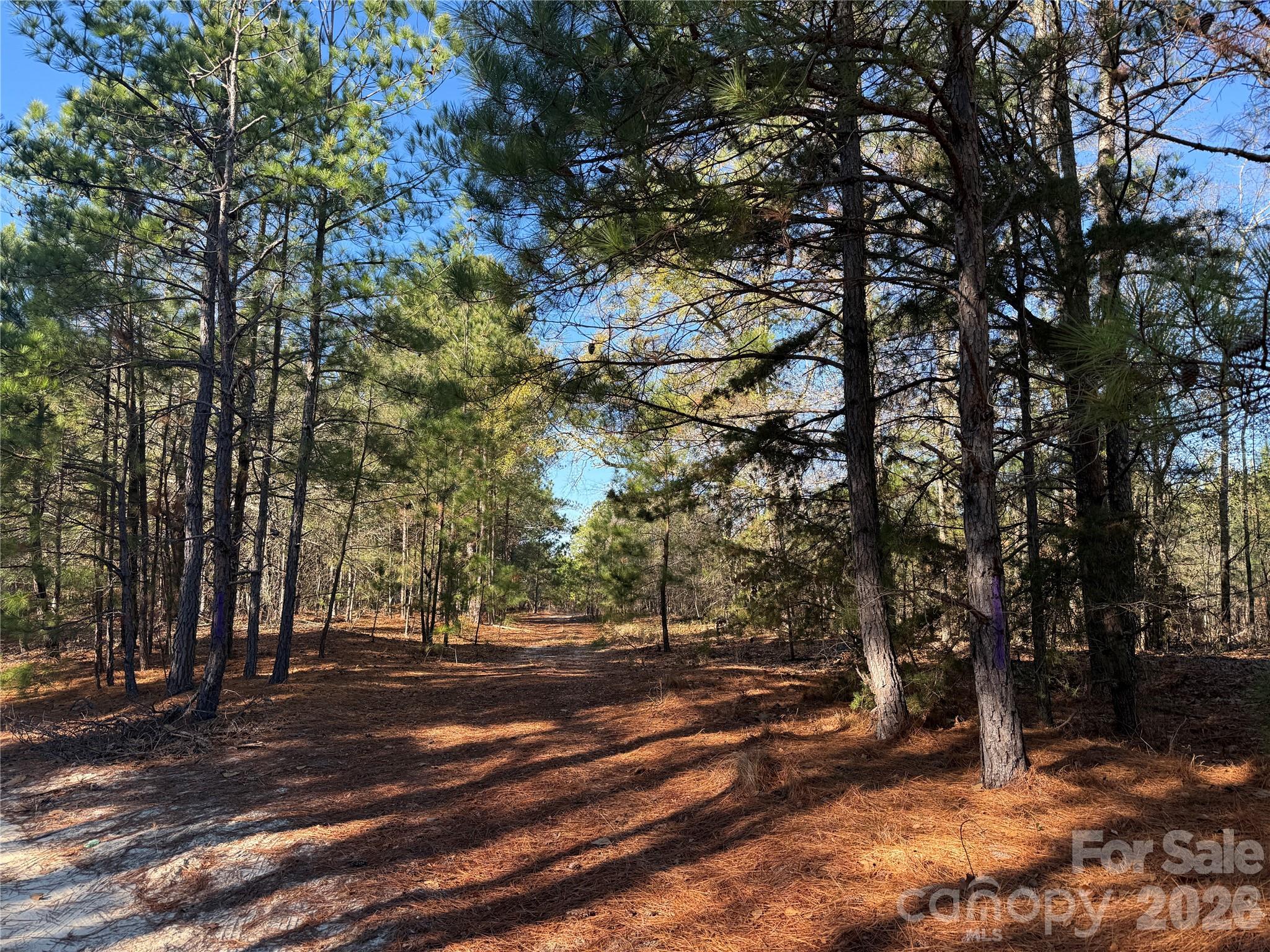 164 Haines Road Property Photo 3