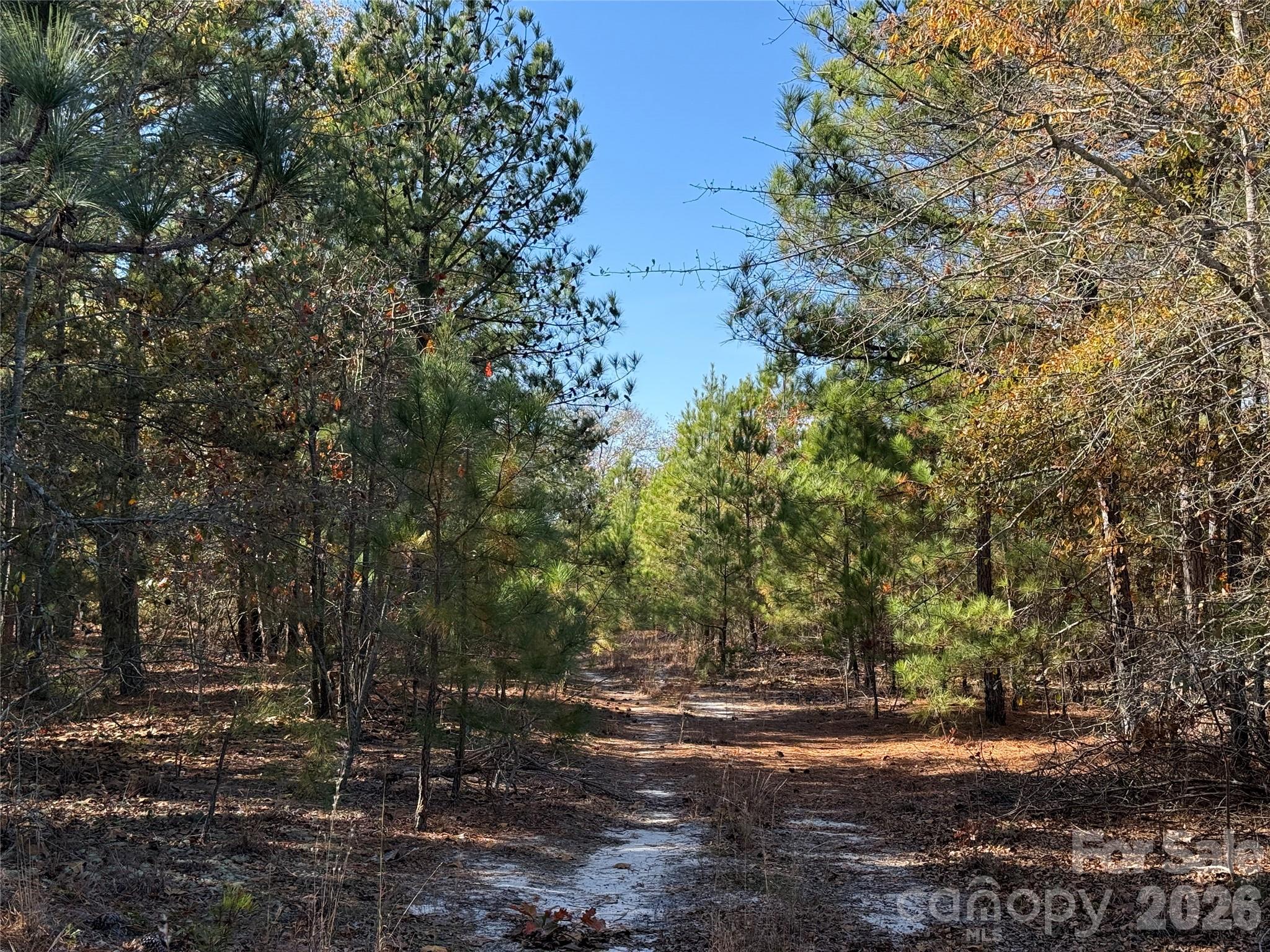 164 Haines Road Property Photo 4