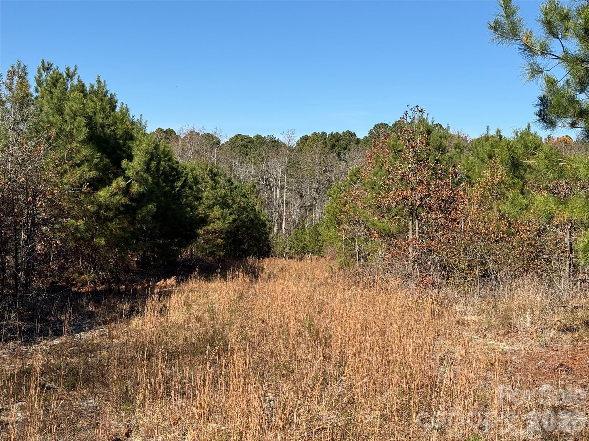 164 Haines Road Property Photo 8
