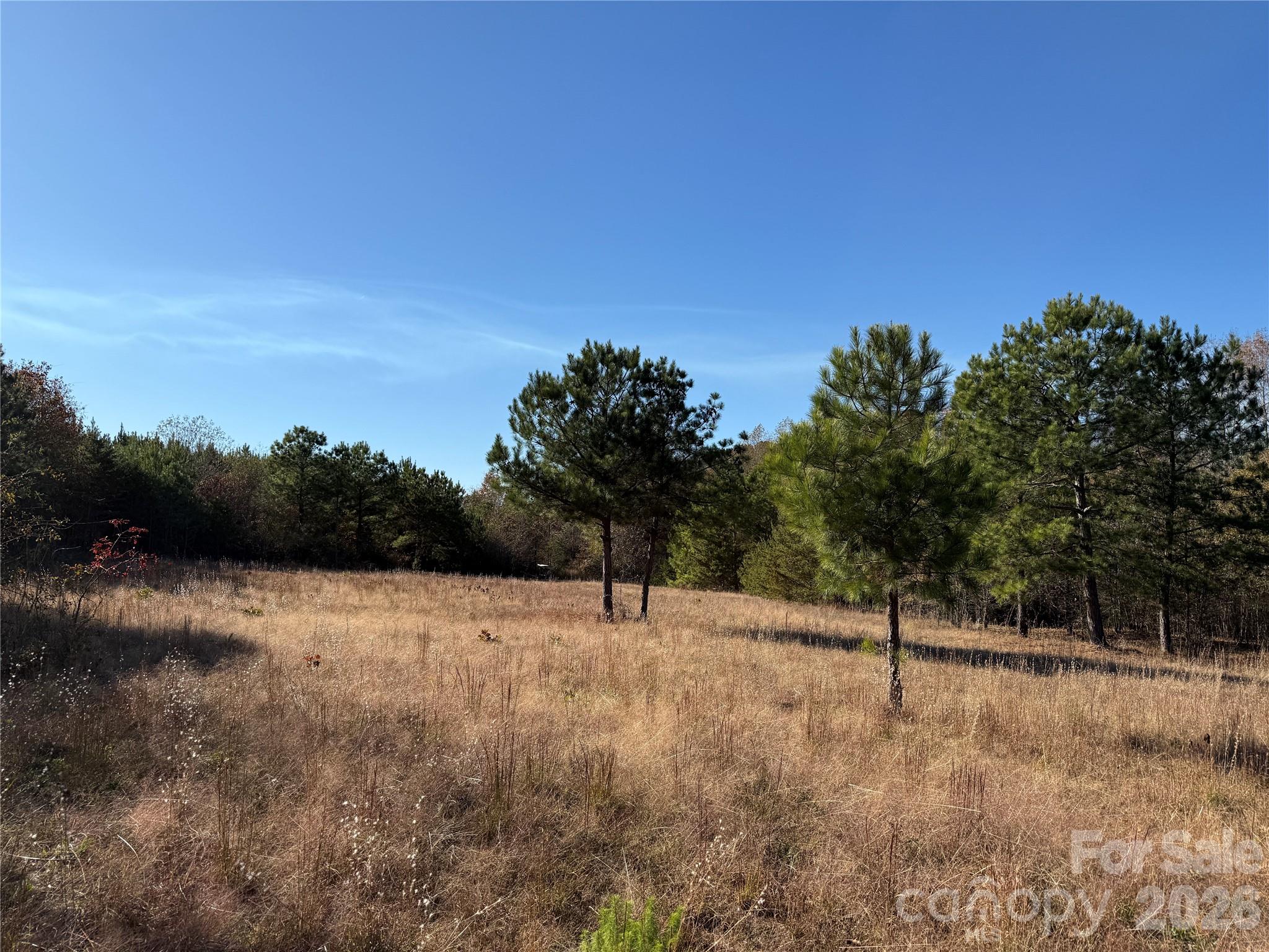 164 Haines Road Property Photo 11