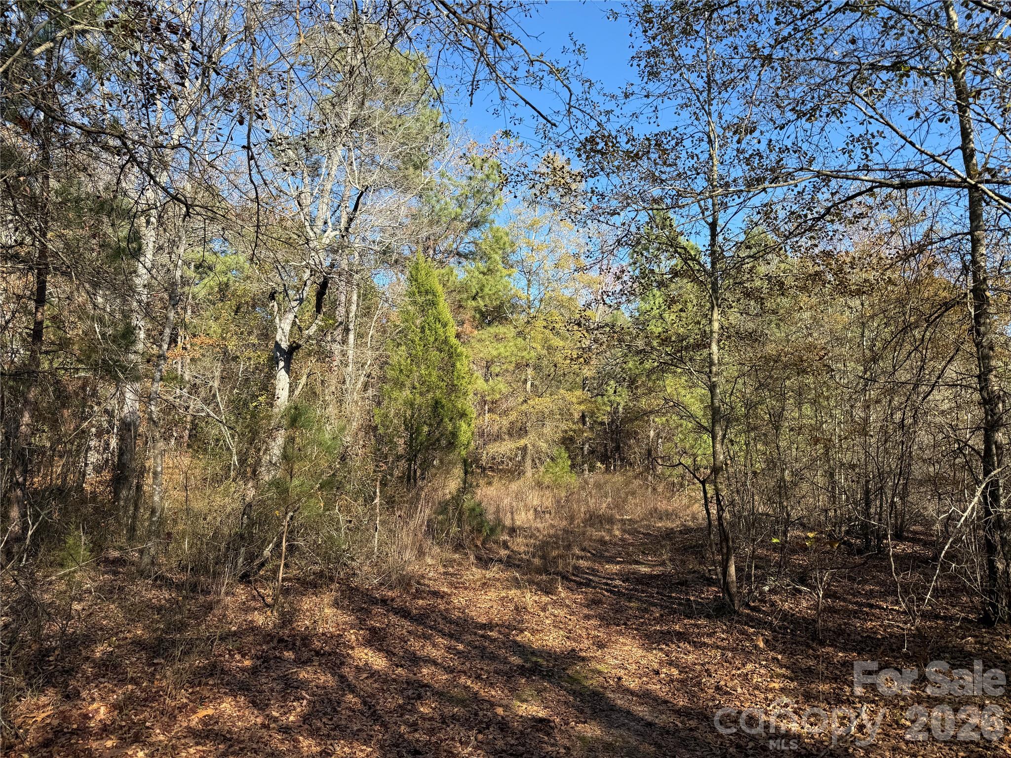164 Haines Road Property Photo 13