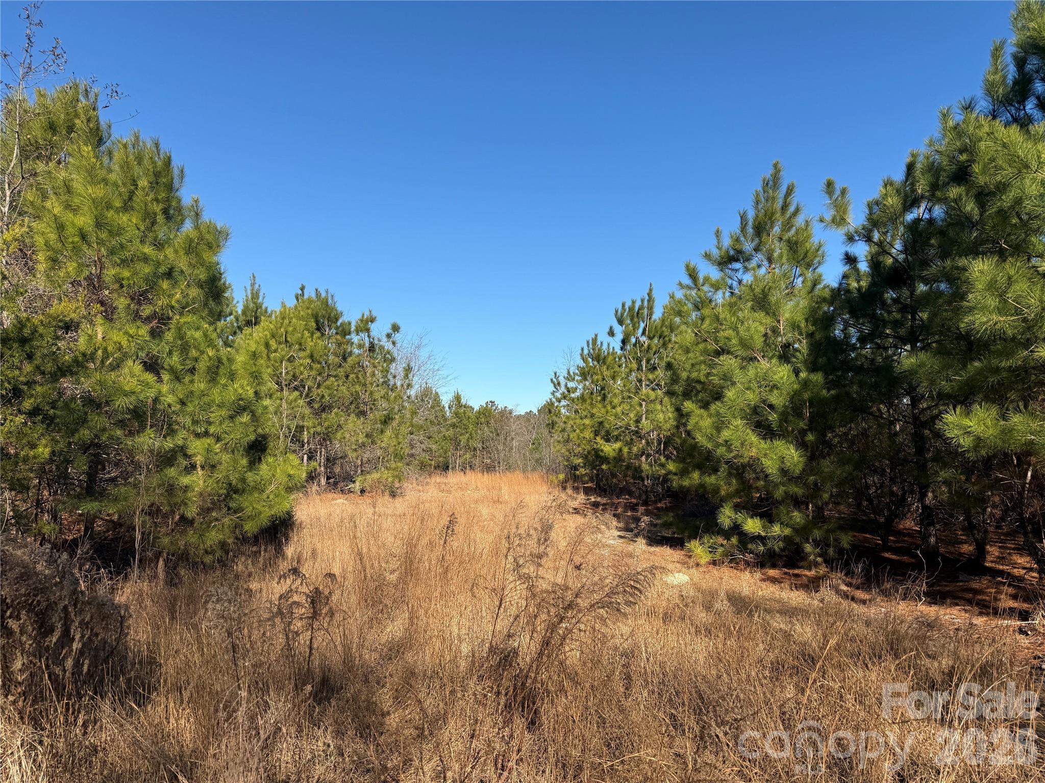 164 Haines Road Property Photo 14