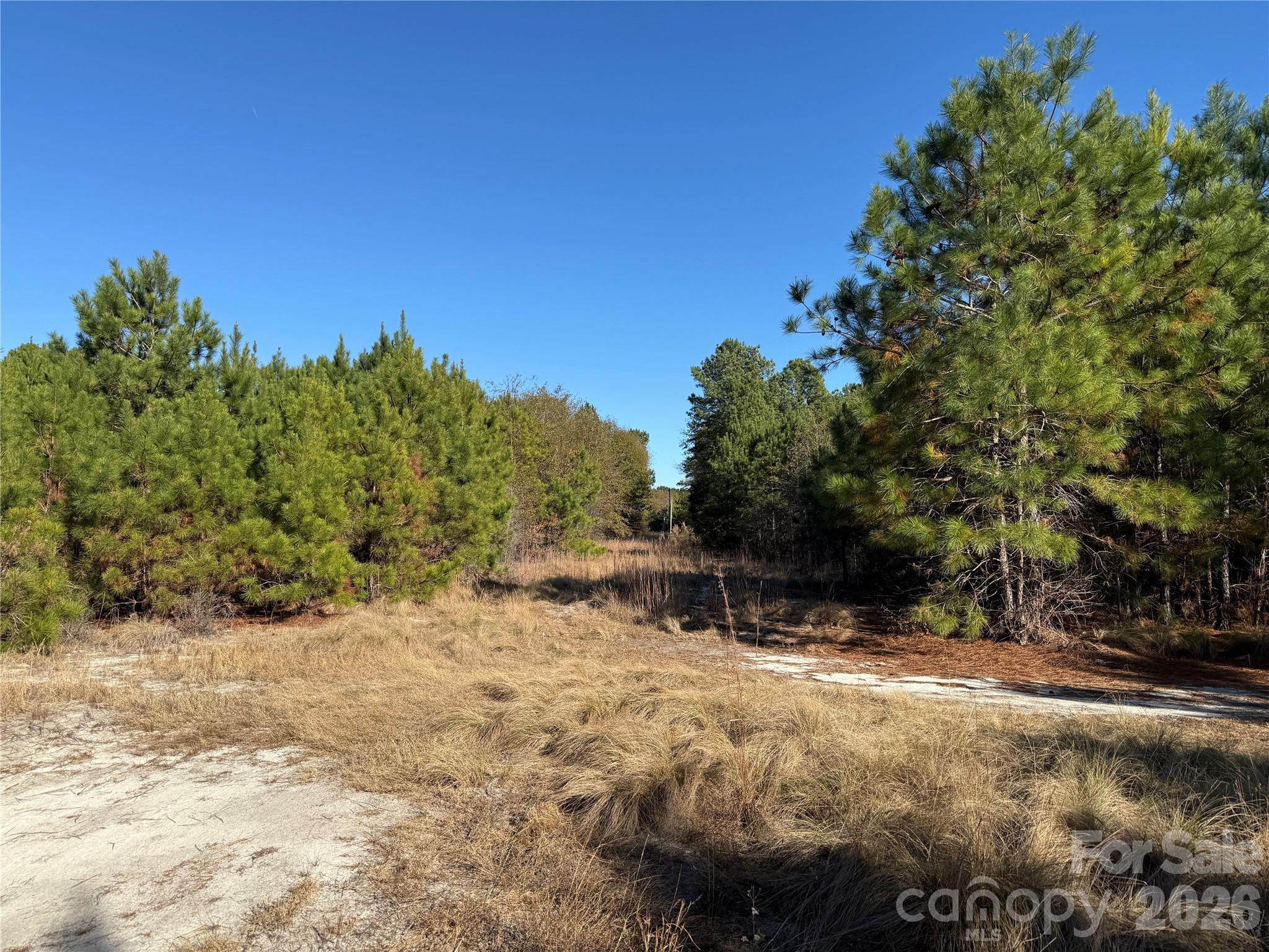 164 Haines Road Property Photo 15