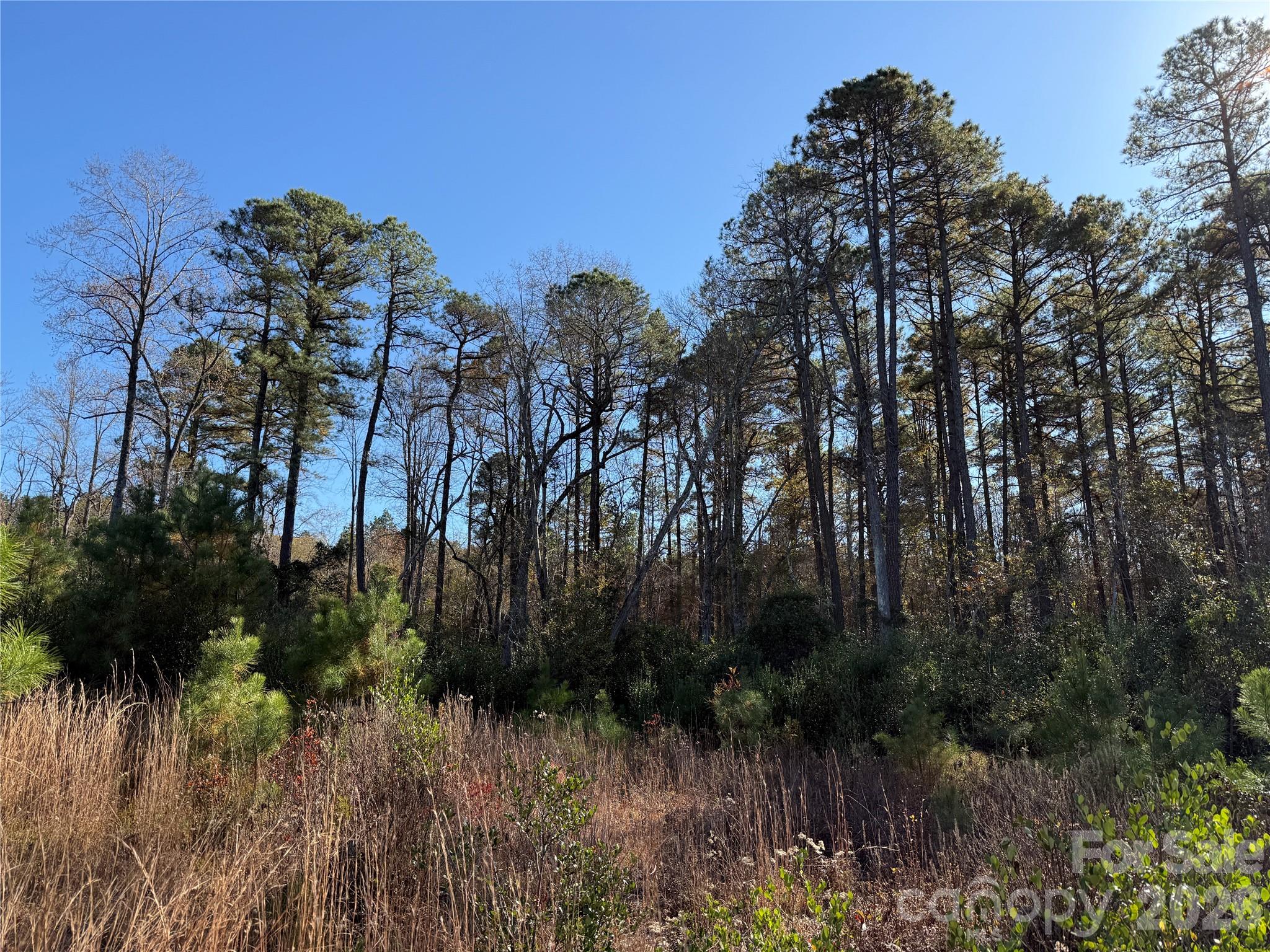 164 Haines Road Property Photo 17