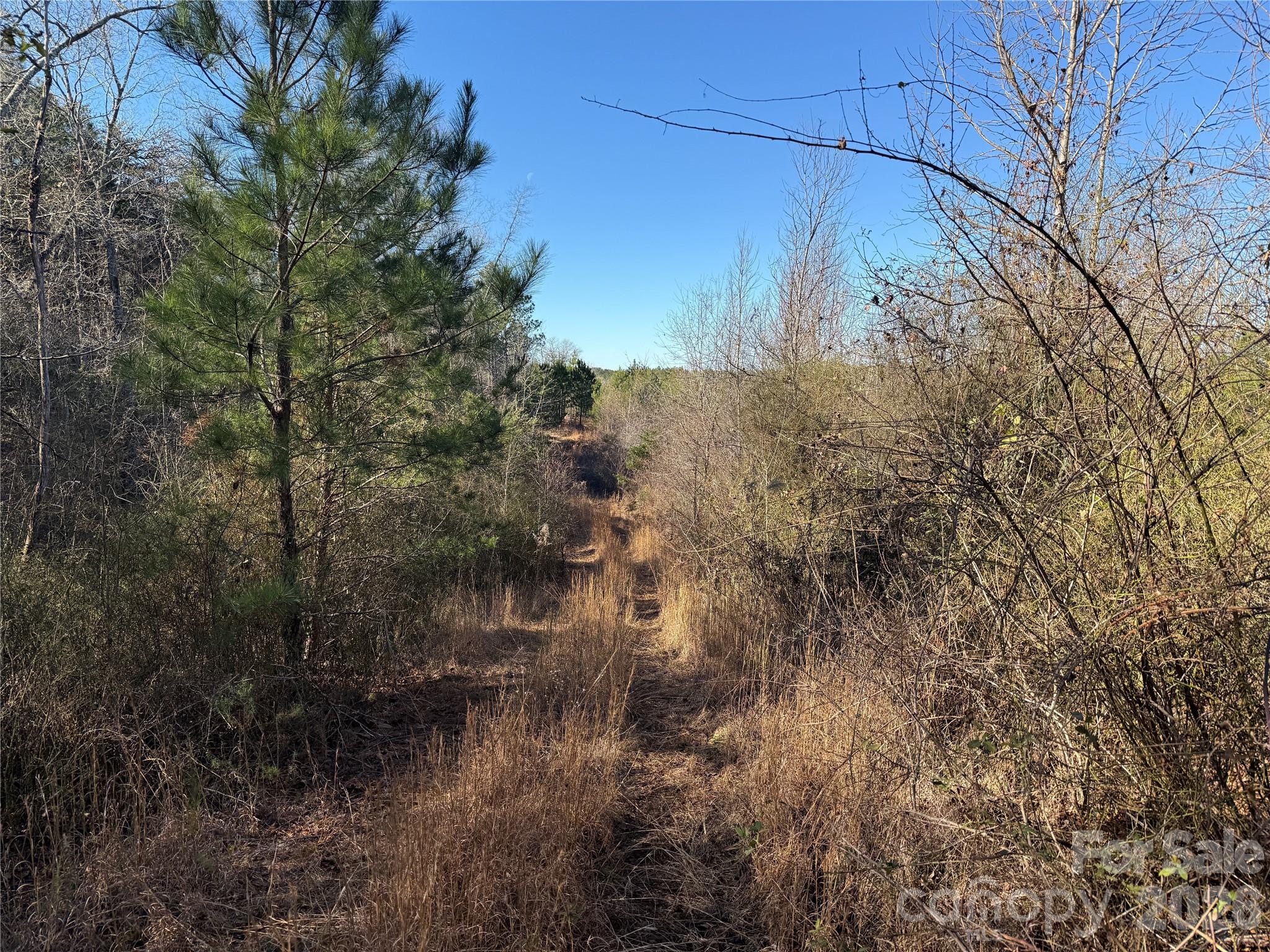 164 Haines Road Property Photo 19