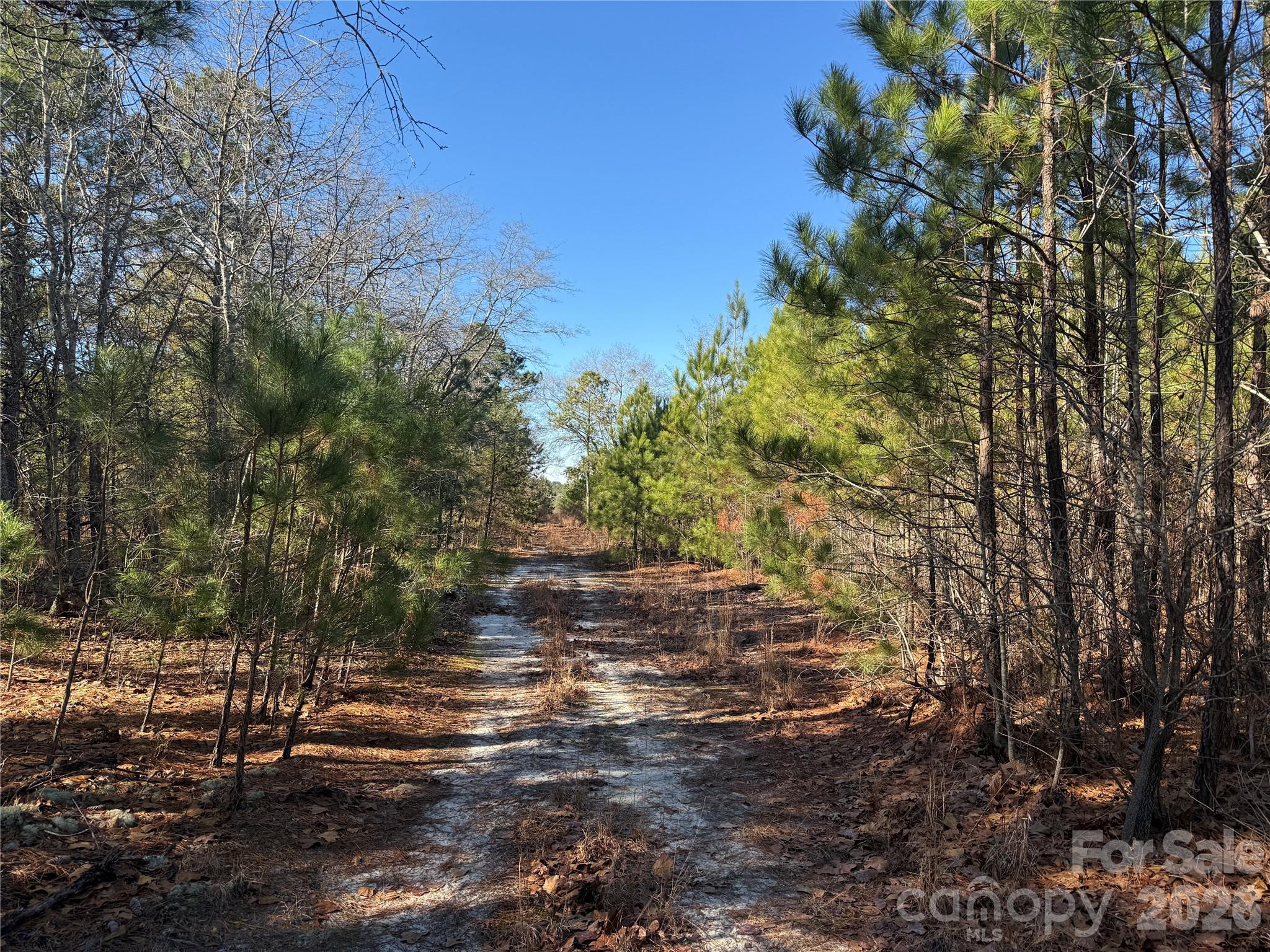 164 Haines Road Property Photo 21