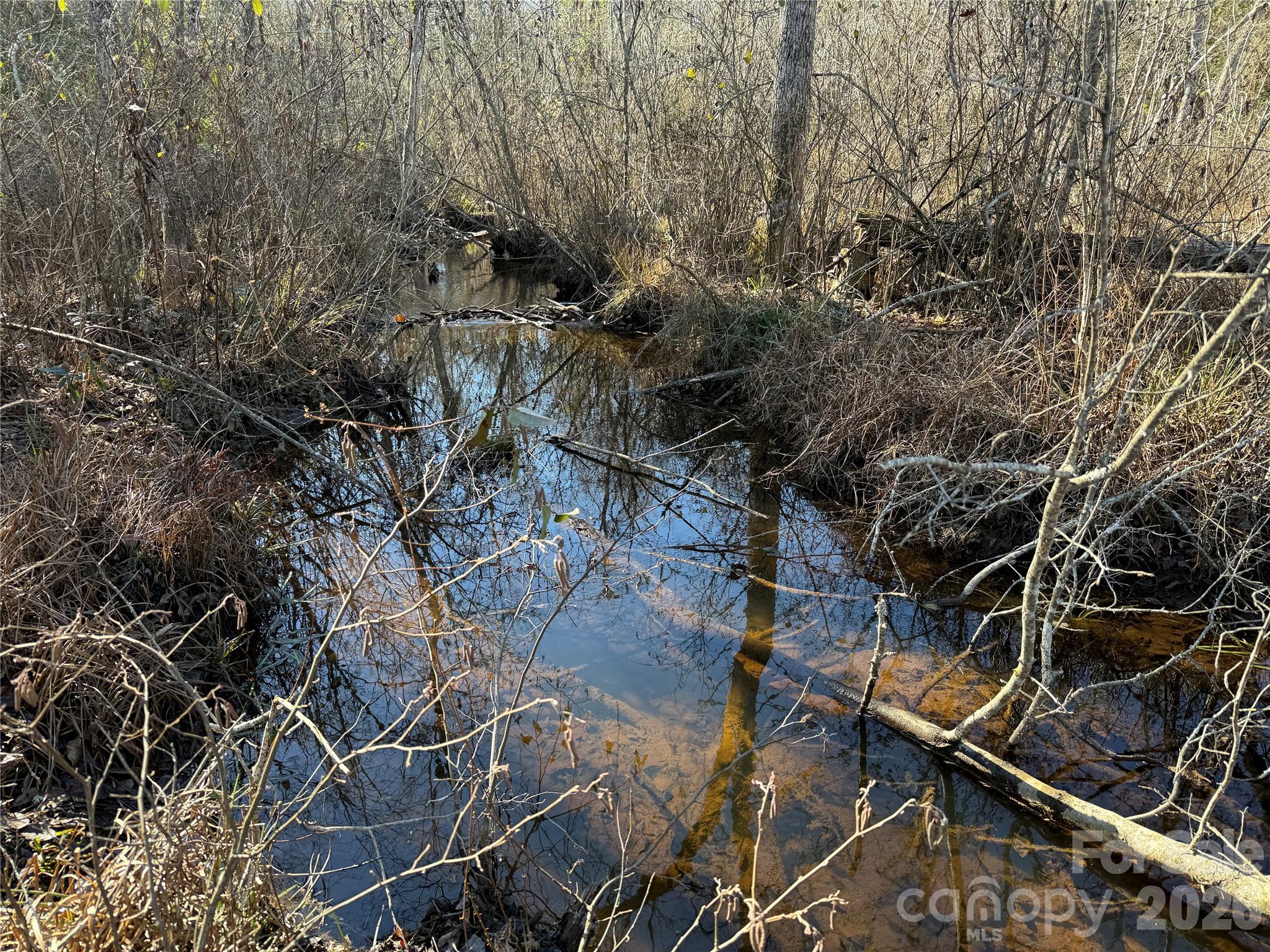 164 Haines Road Property Photo 22