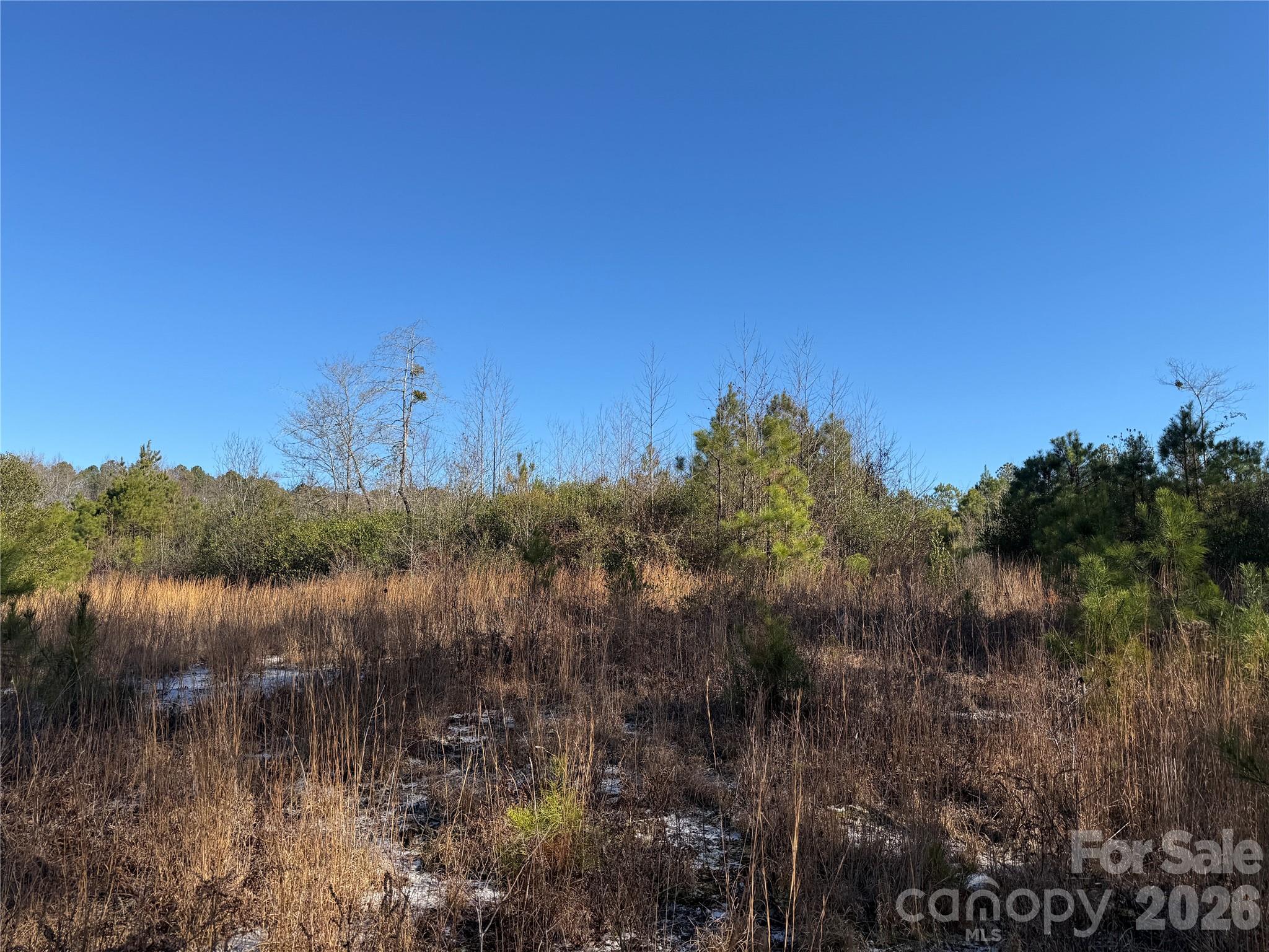 164 Haines Road Property Photo 23