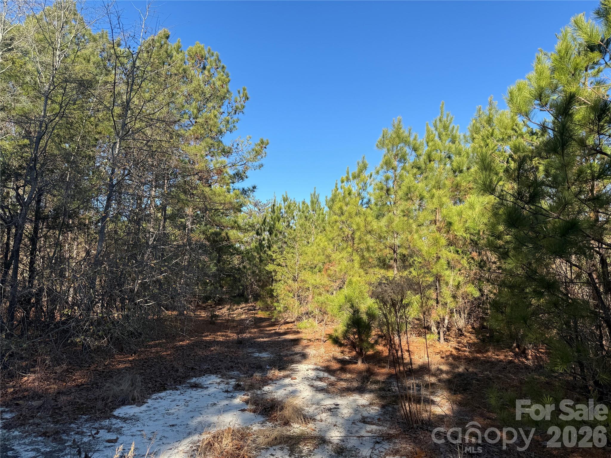 164 Haines Road Property Photo 24