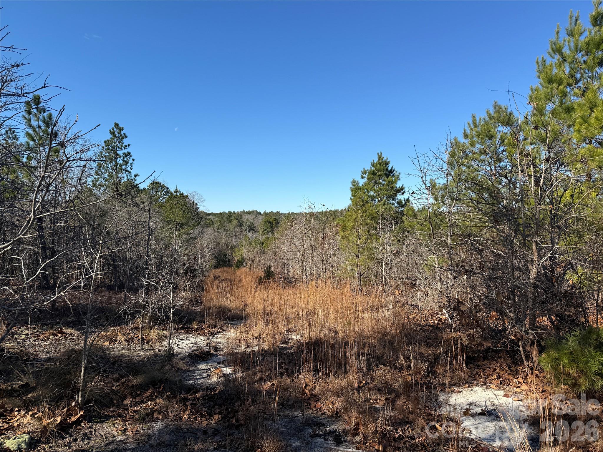 164 Haines Road Property Photo 25