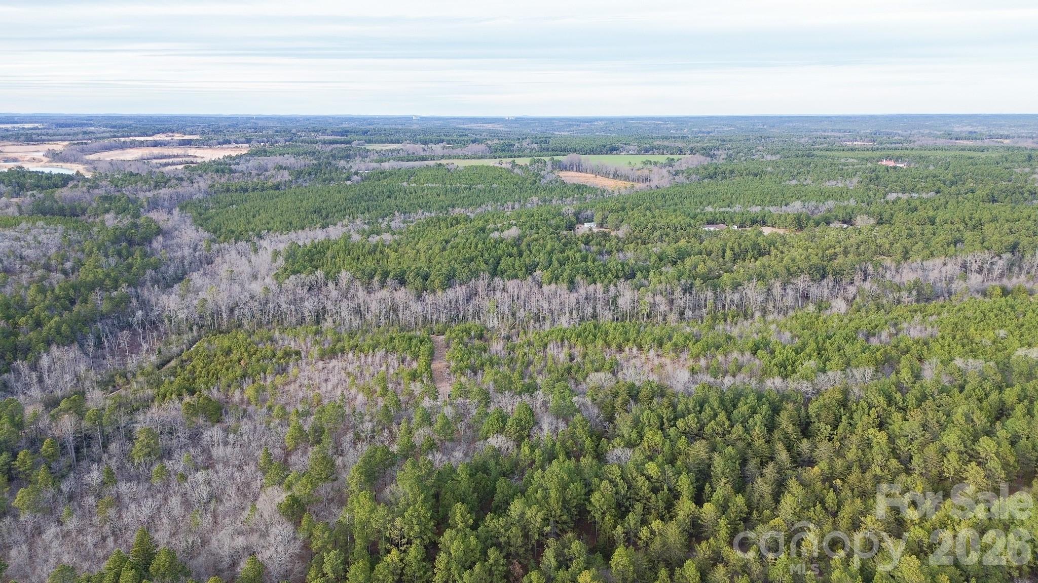 164 Haines Road Property Photo 26