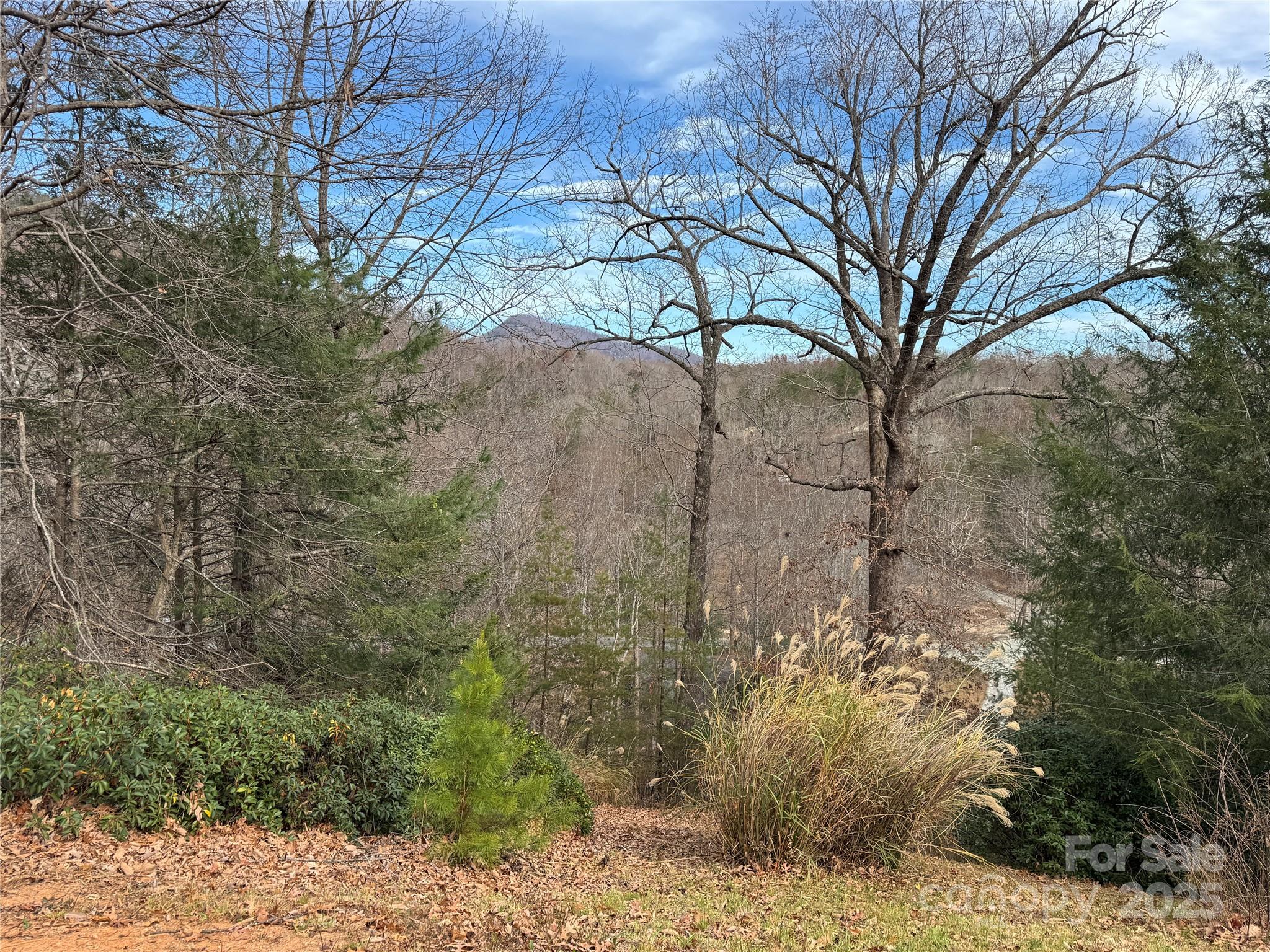 0 Deer Trail 16 Property Photo 4