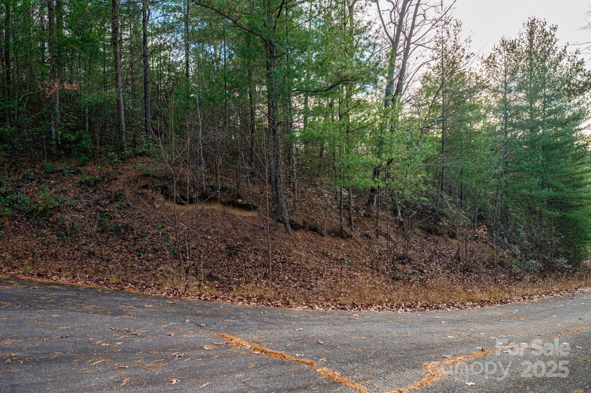 3129 Mountain Laurel Drive Property Photo 6