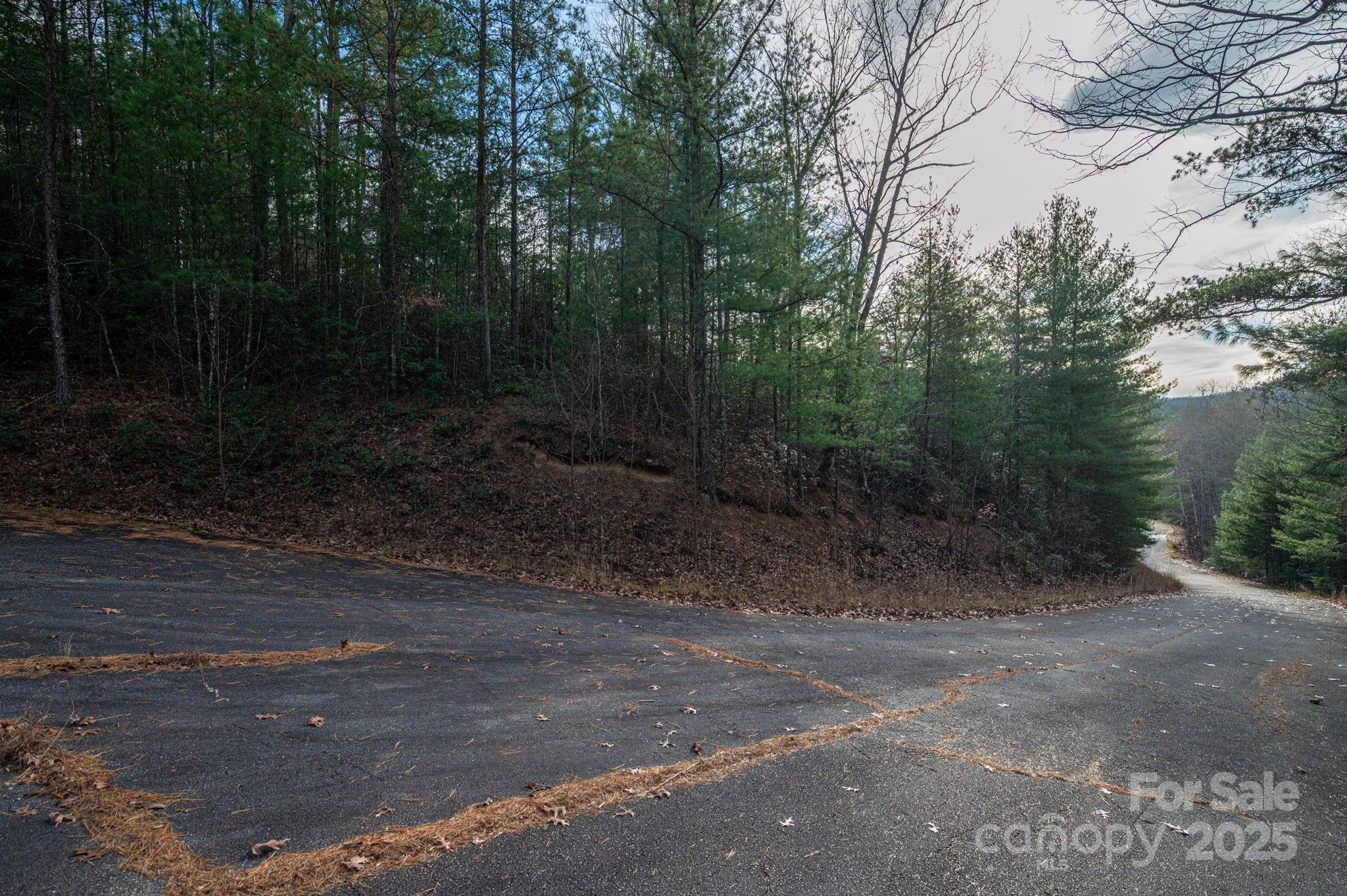 3129 Mountain Laurel Drive Property Photo 7